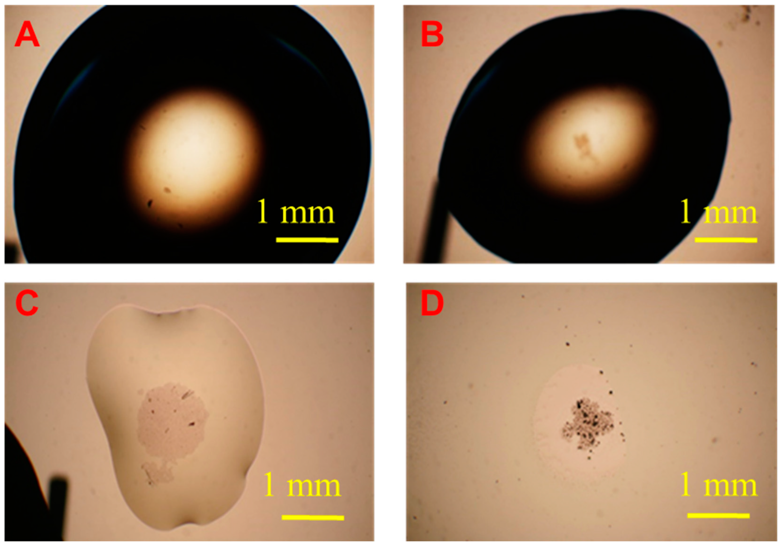 Sensors 20 07177 g002