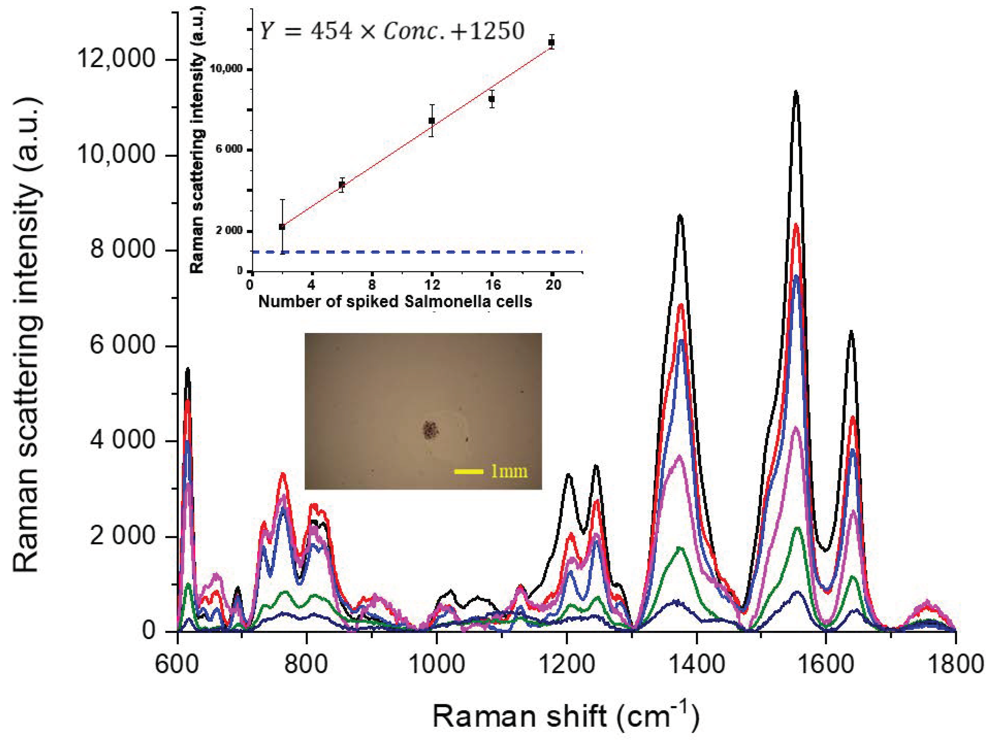 Sensors 20 07177 g004