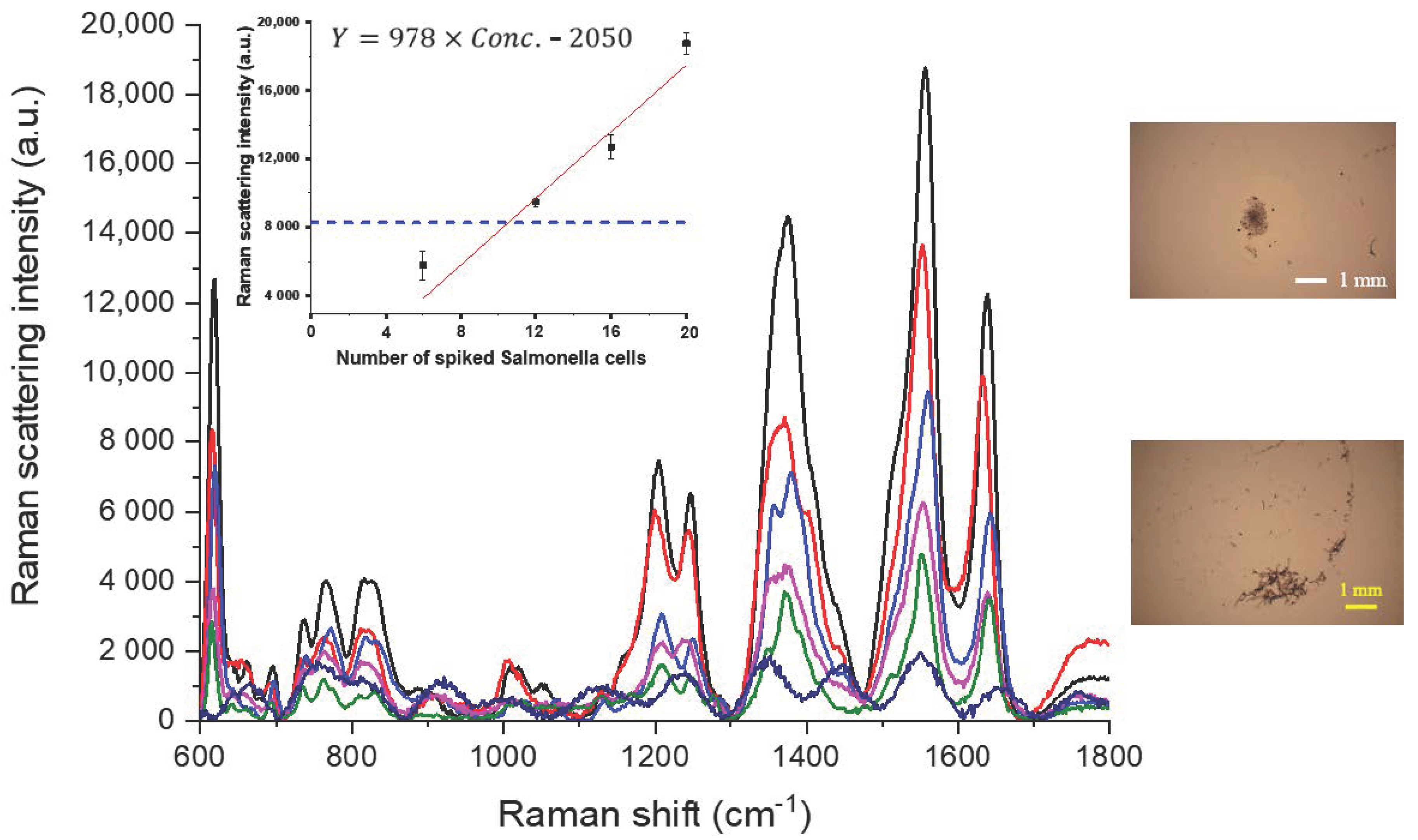 Sensors 20 07177 g005