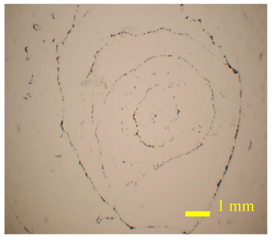 Sensors 20 07177 g0a1