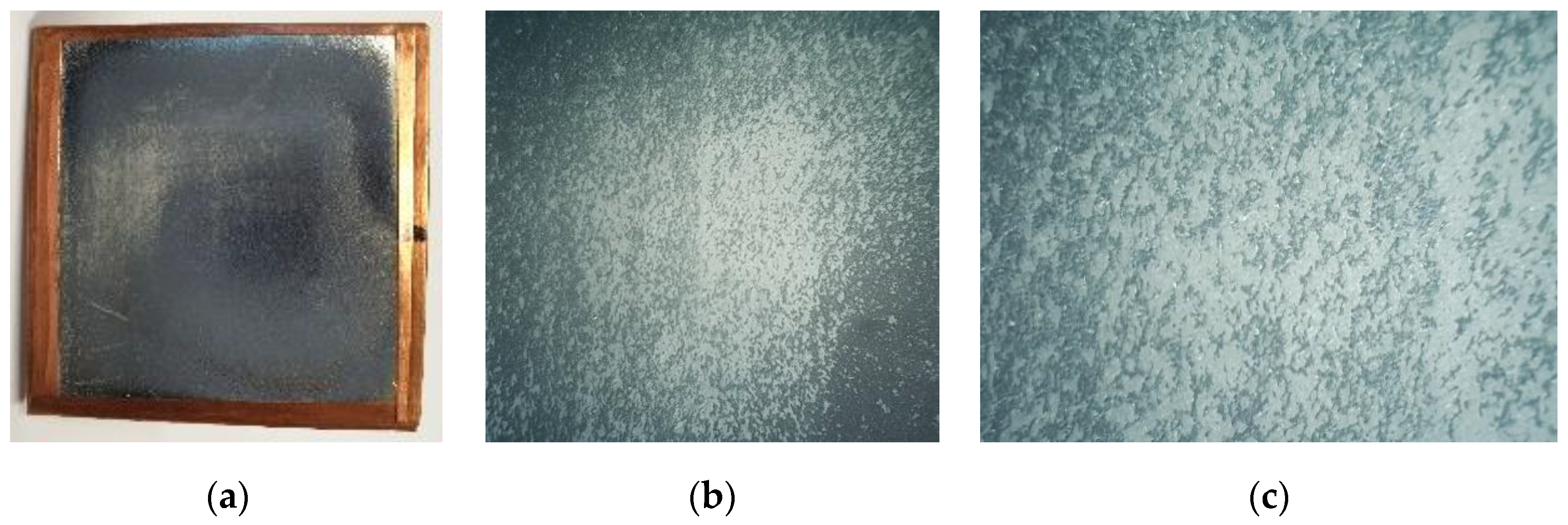 Sensors 20 07196 g013