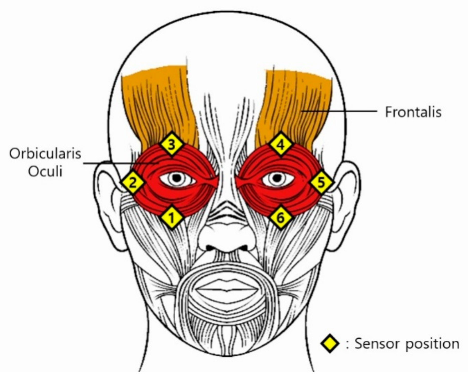 Sensors 20 07206 g002