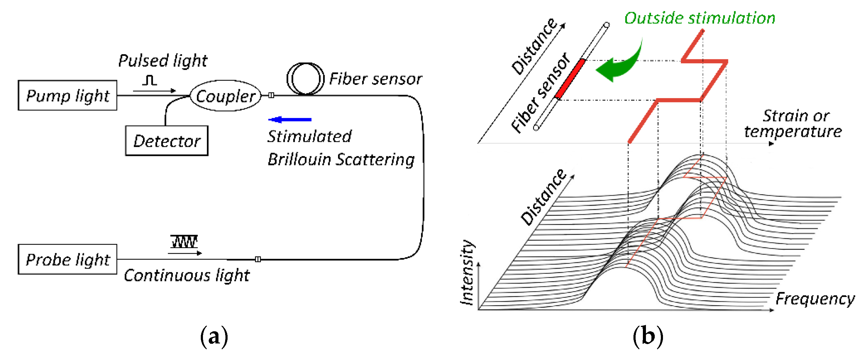 Sensors 20 07215 g001