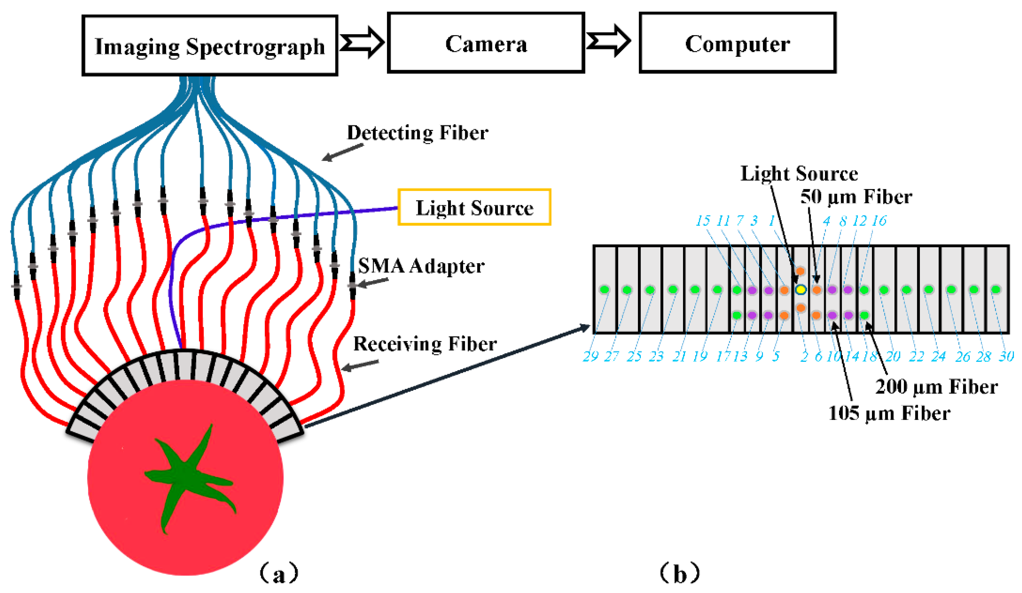 Sensors 20 07229 g002