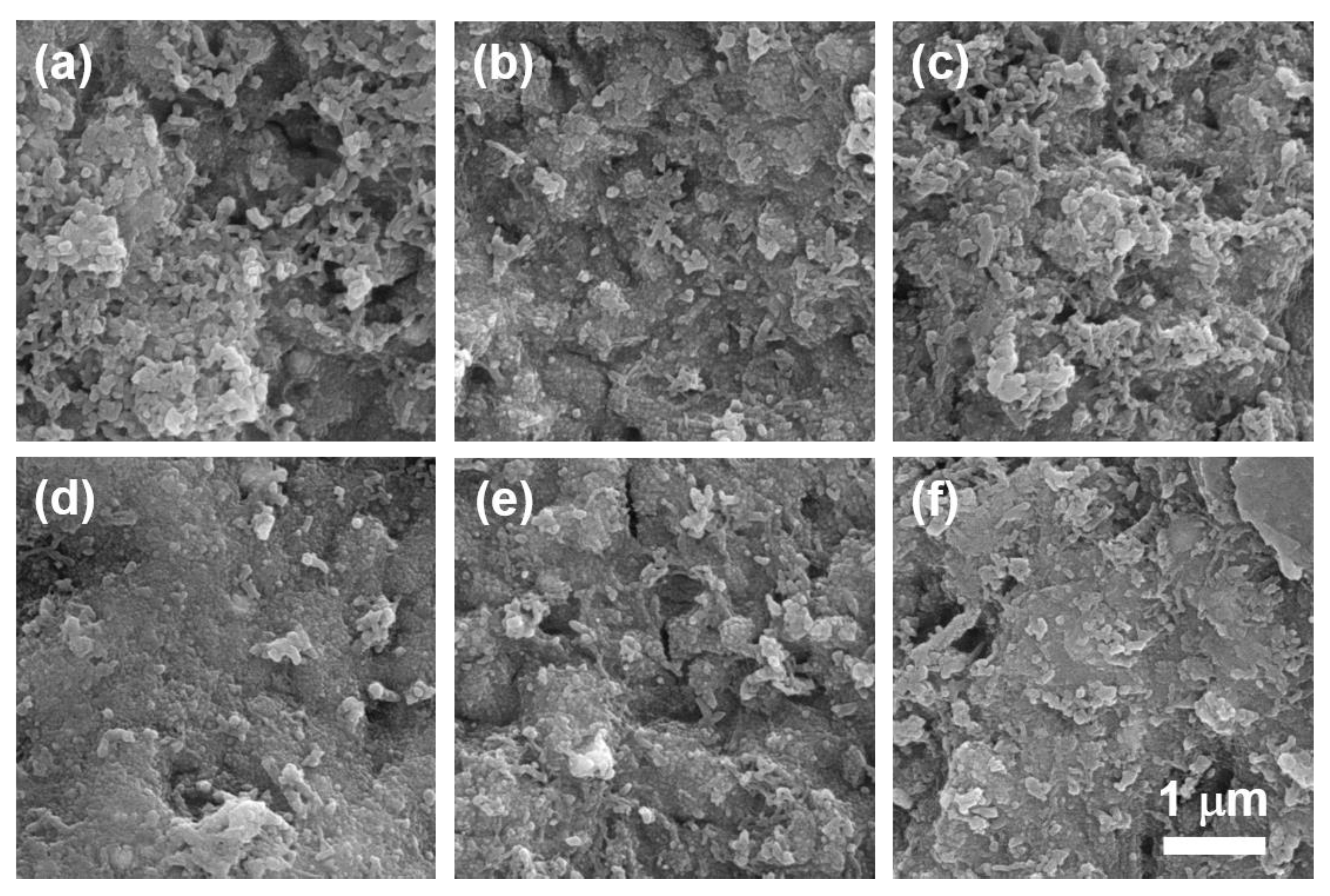 Sensors 20 07301 g004