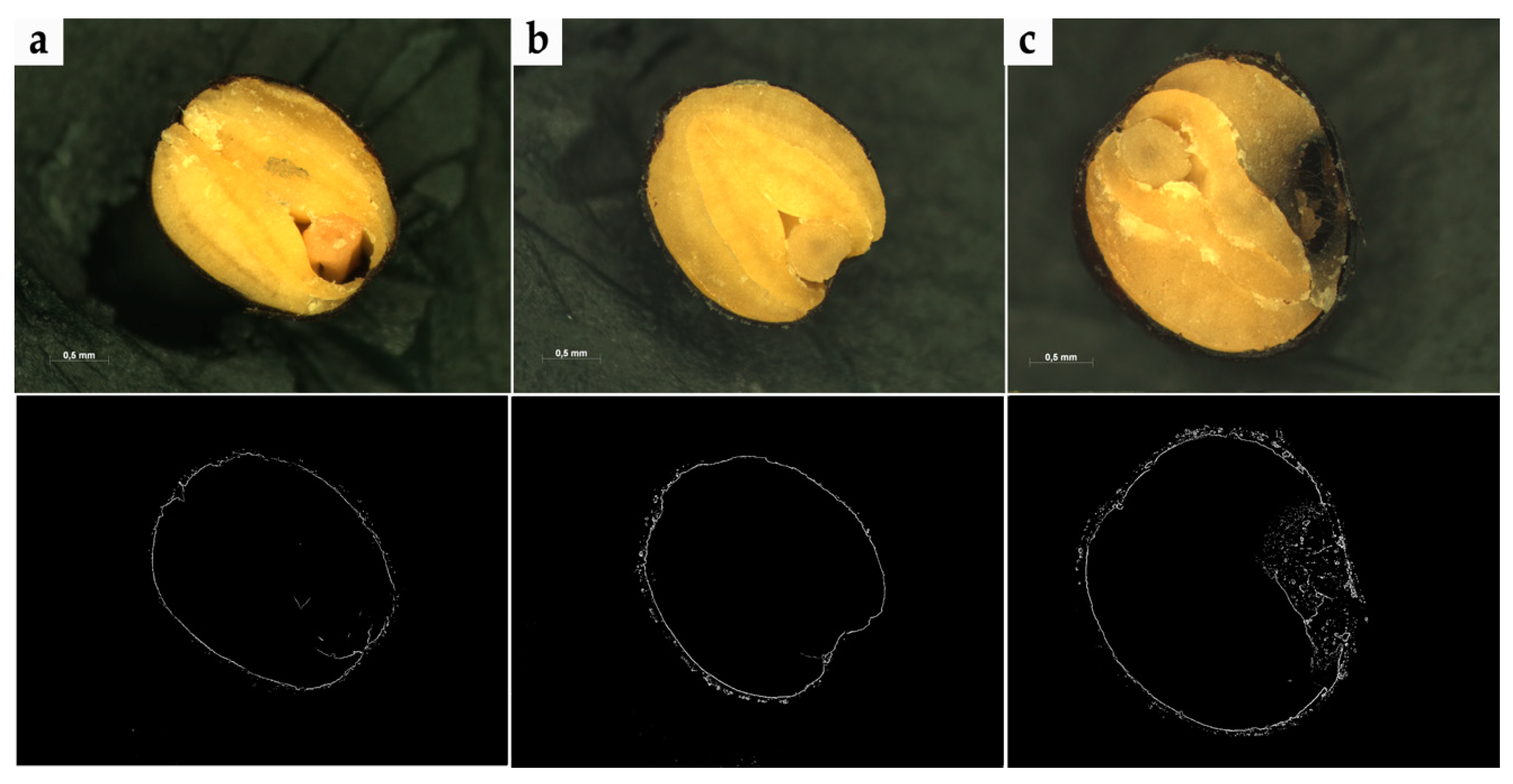 Sensors 20 07305 g001