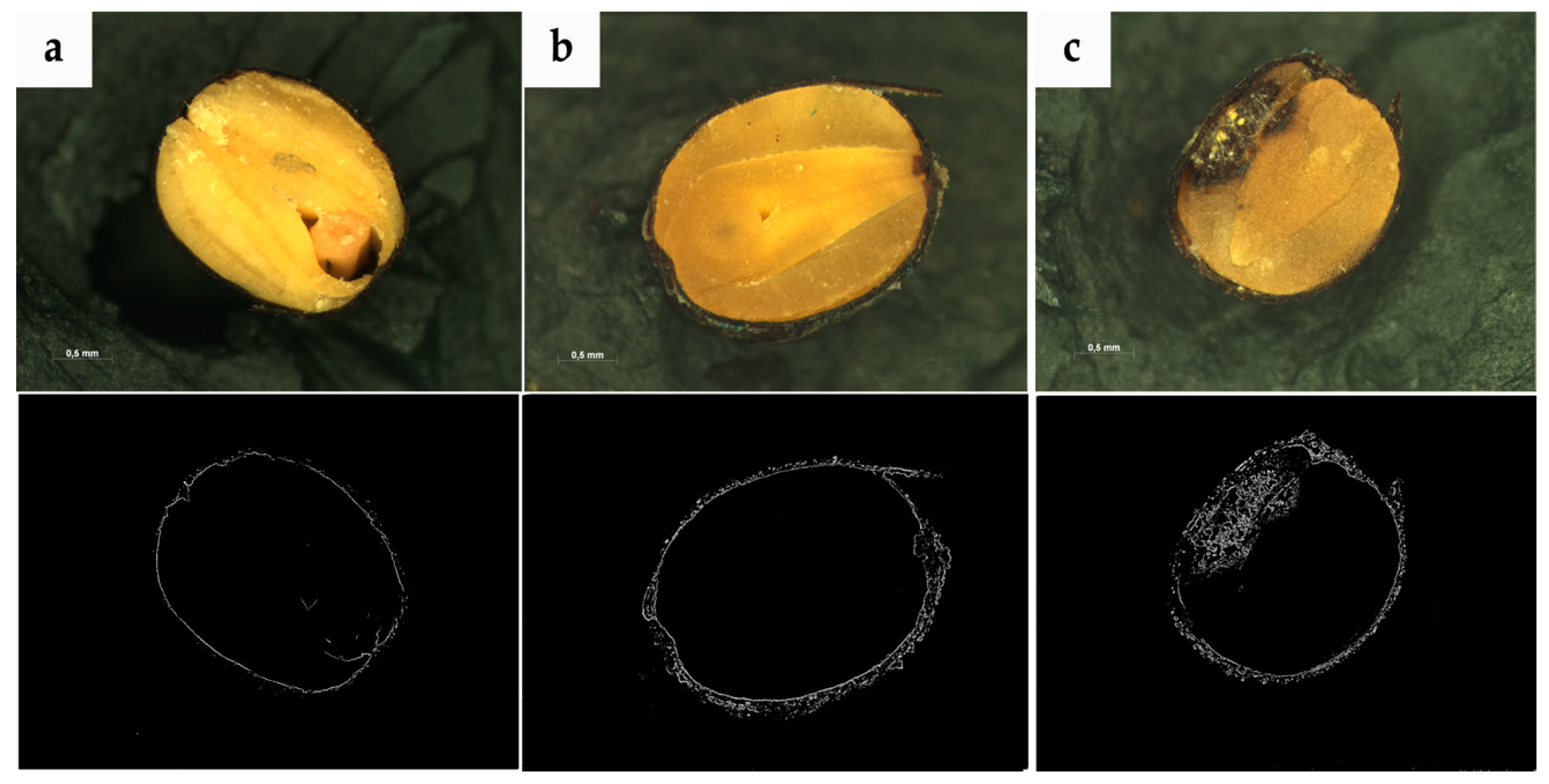 Sensors 20 07305 g002