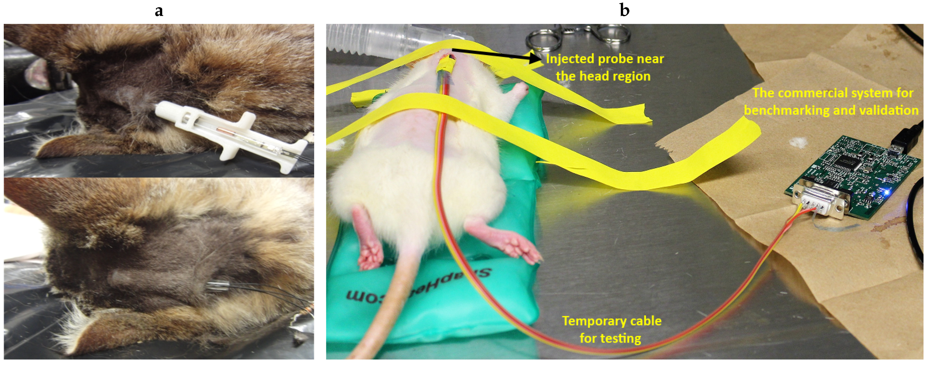 Sensors 20 07335 g012