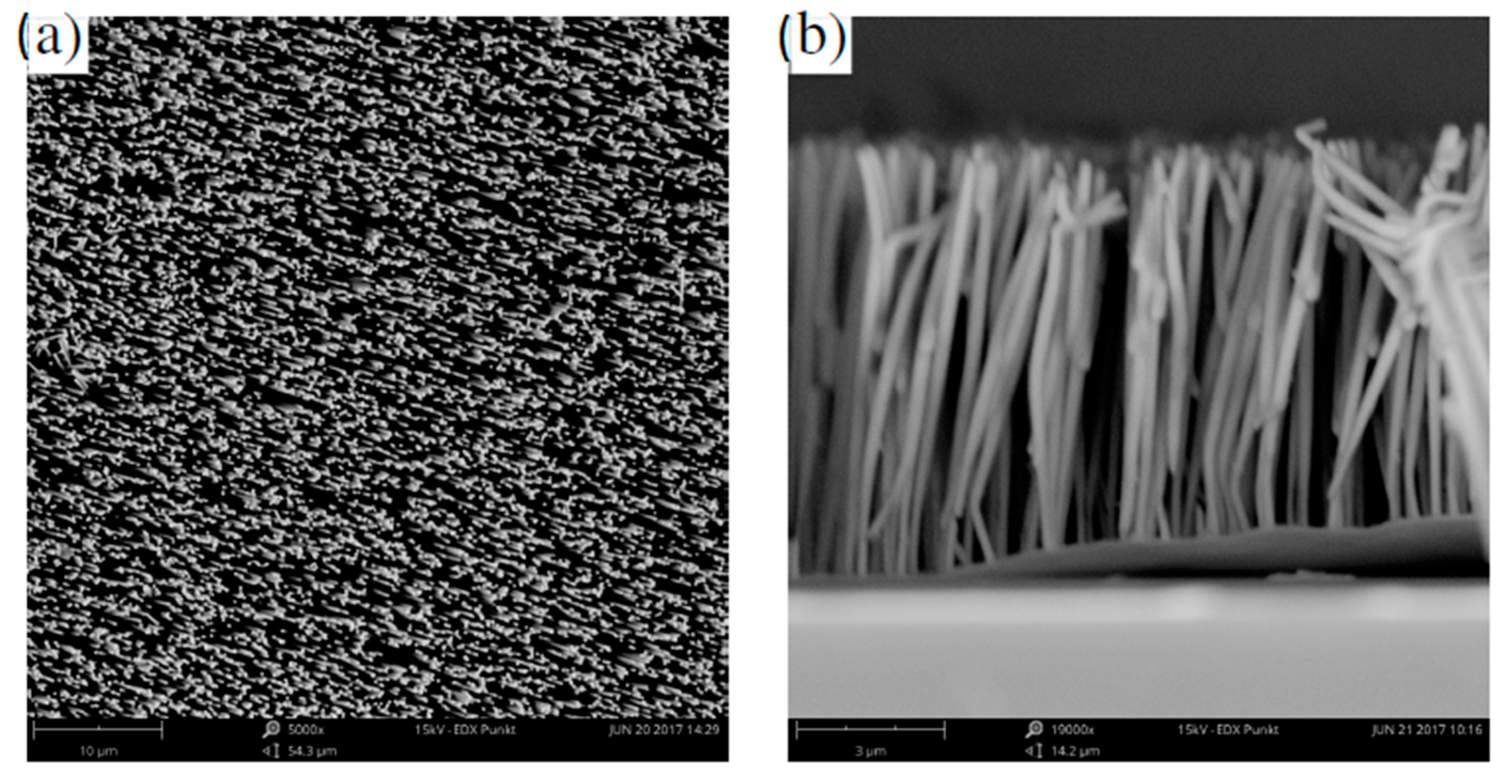 Sensors 21 00003 g002