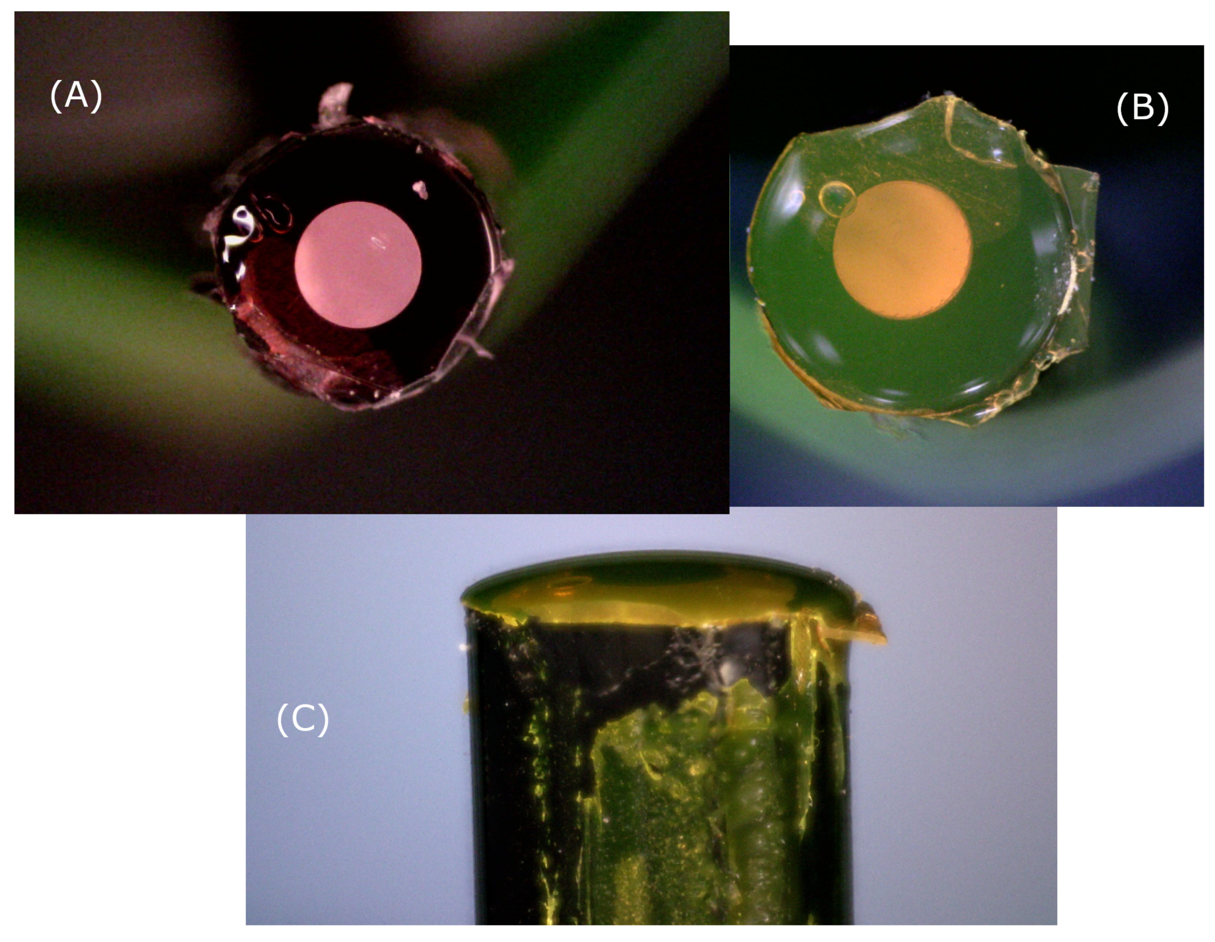 Sensors 21 00005 g006 Sensors 21 00005 g006