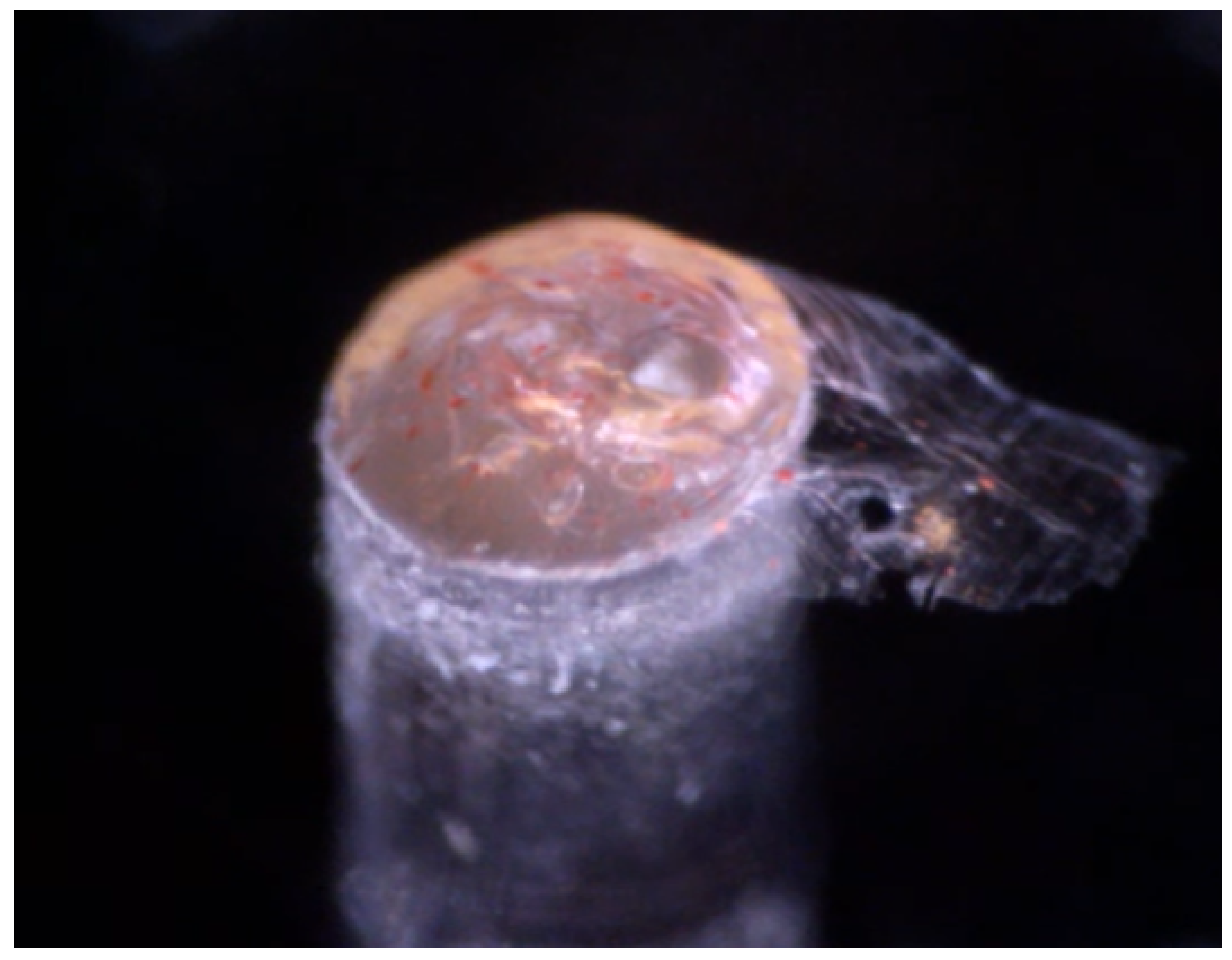 Sensors 21 00005 g007 Sensors 21 00005 g007