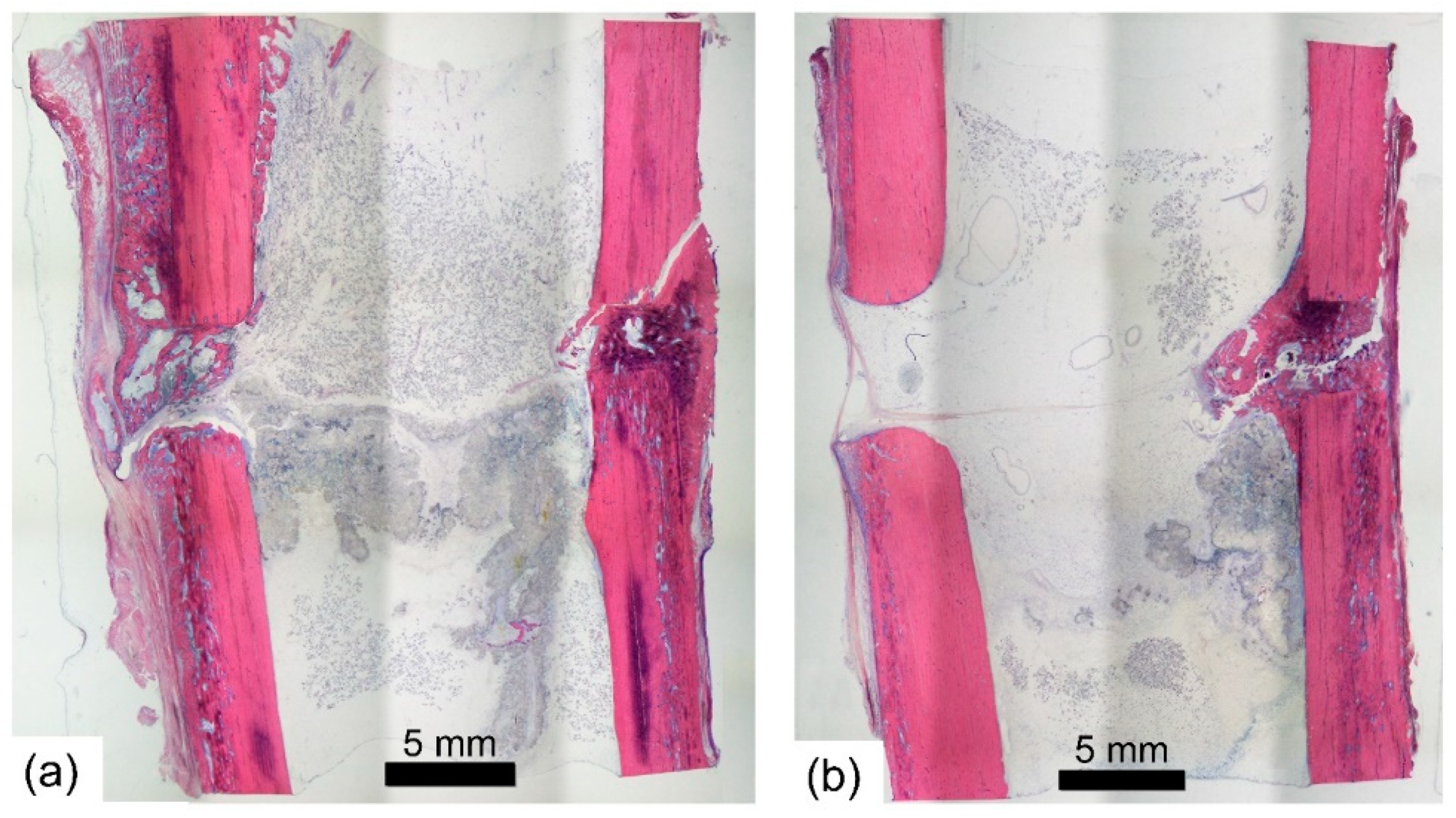 Sensors 21 00017 g008 Sensors 21 00017 g008