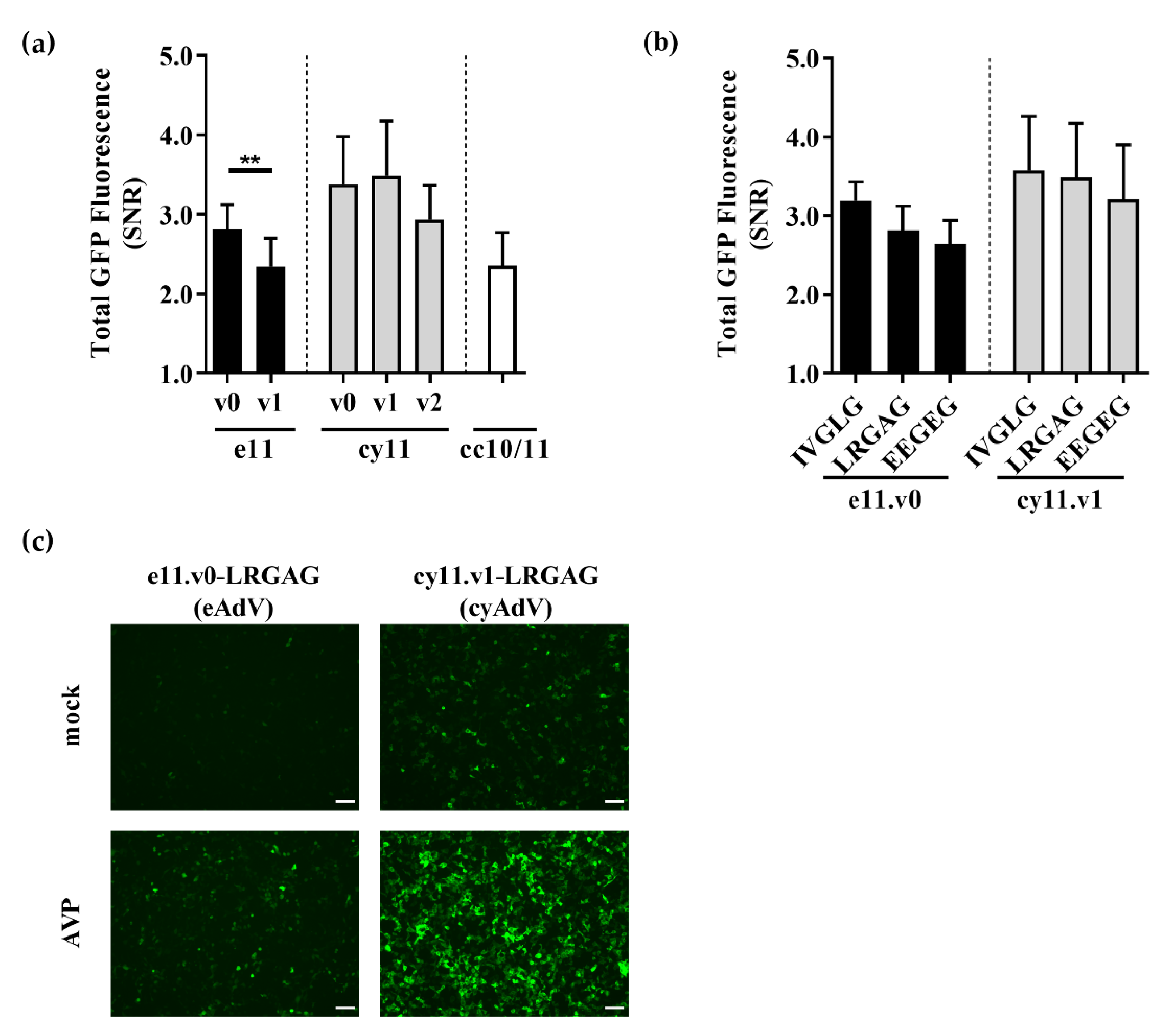 Sensors 21 00024 g002