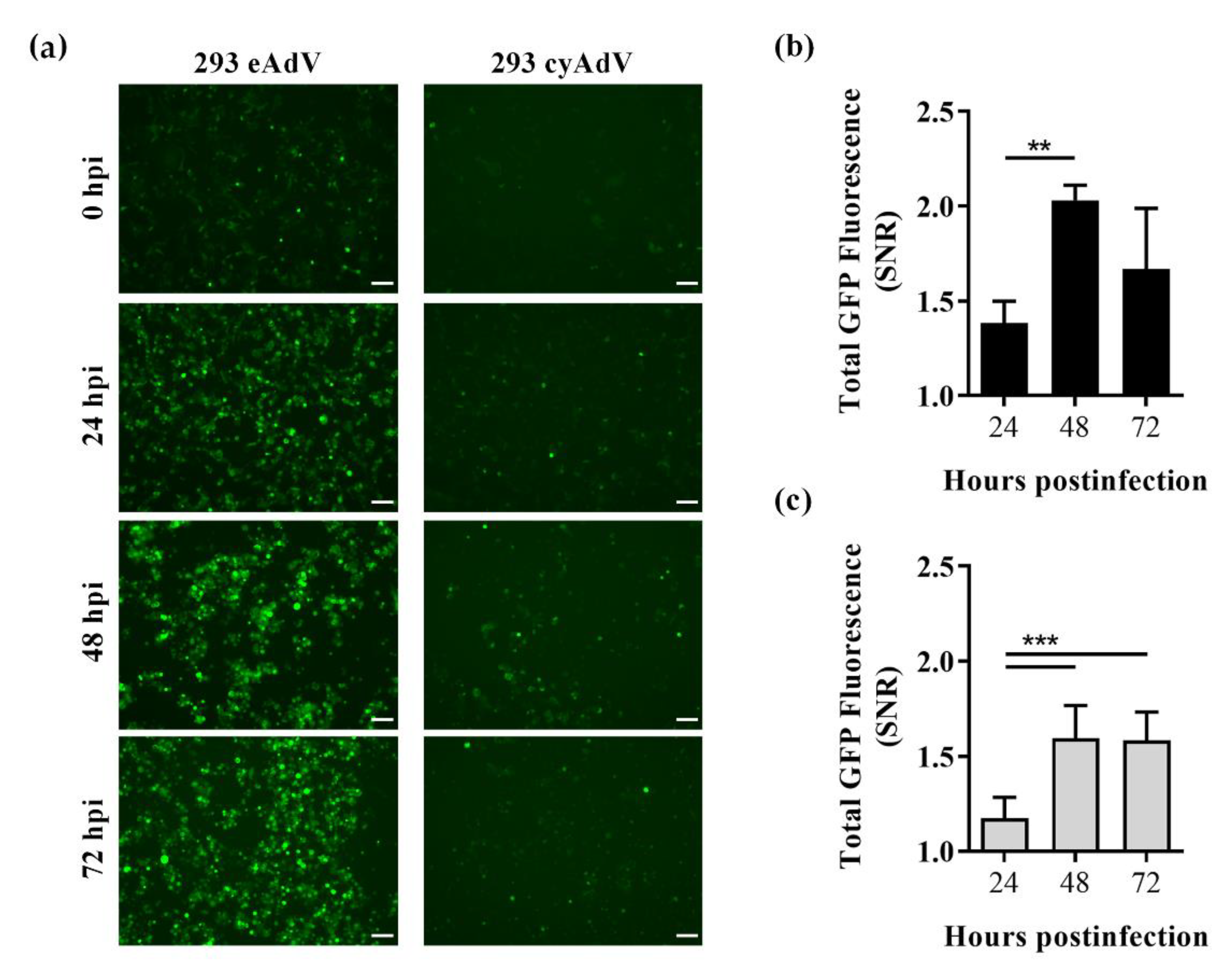 Sensors 21 00024 g004
