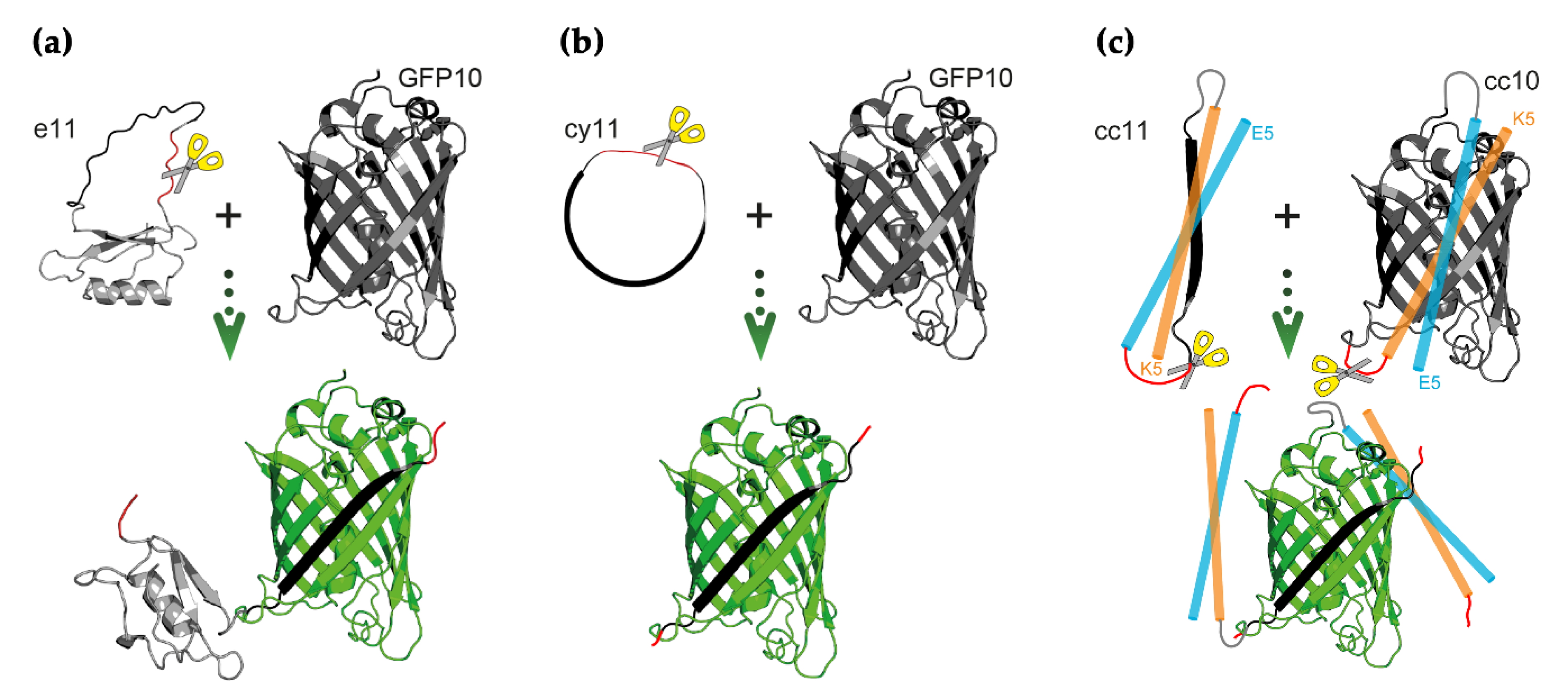 Sensors 21 00024 sch001