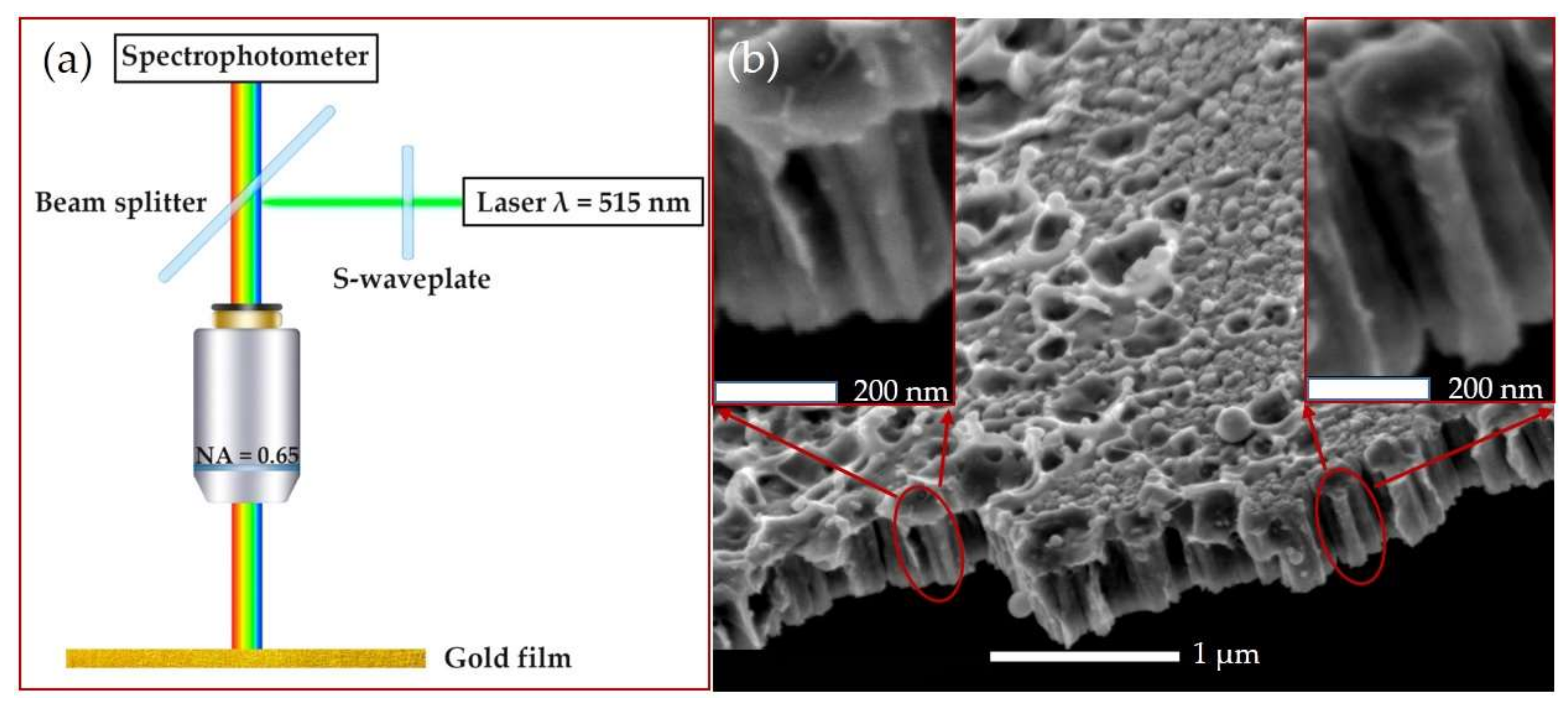 Sensors 21 00059 g002 Sensors 21 00059 g002