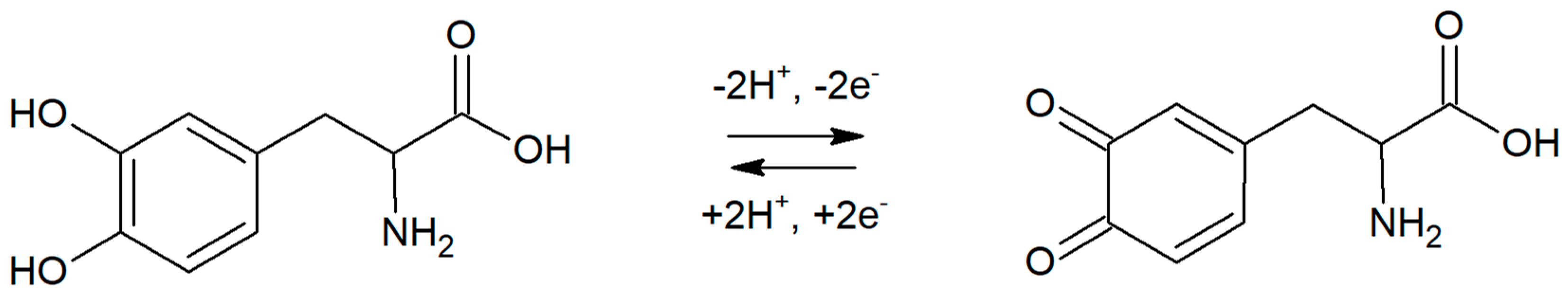 Sensors 21 00060 g005 Sensors 21 00060 g005