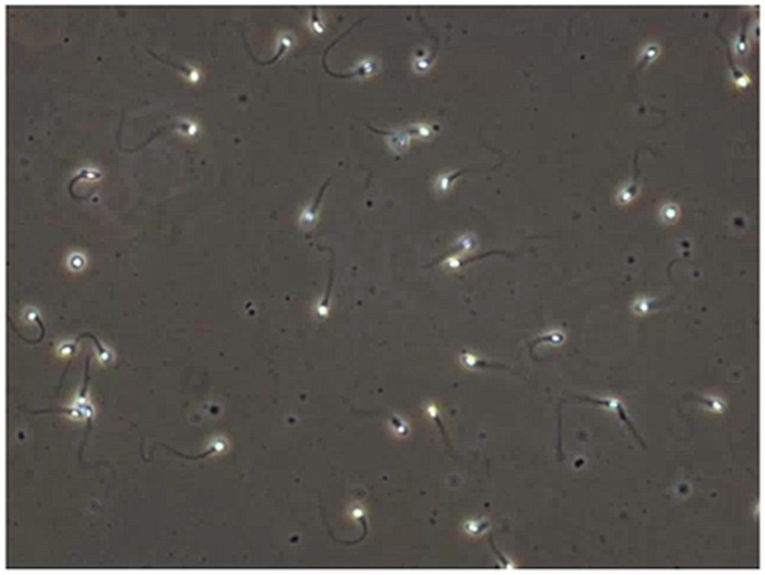 Sensors 21 00072 g002 Sensors 21 00072 g002