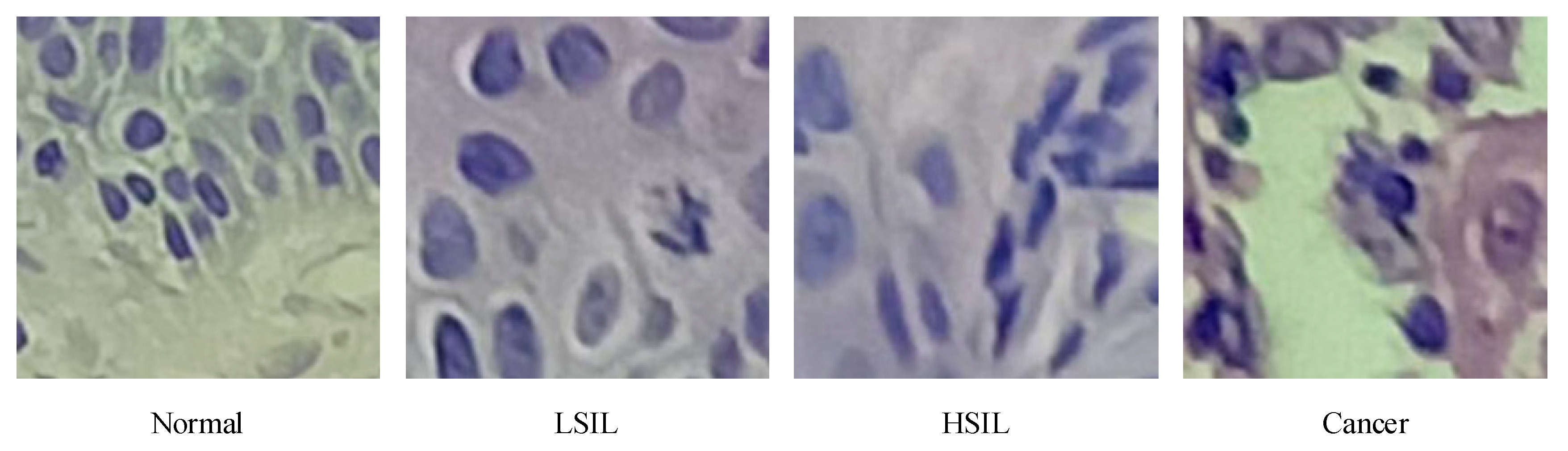 Sensors 21 00122 g002 Sensors 21 00122 g002