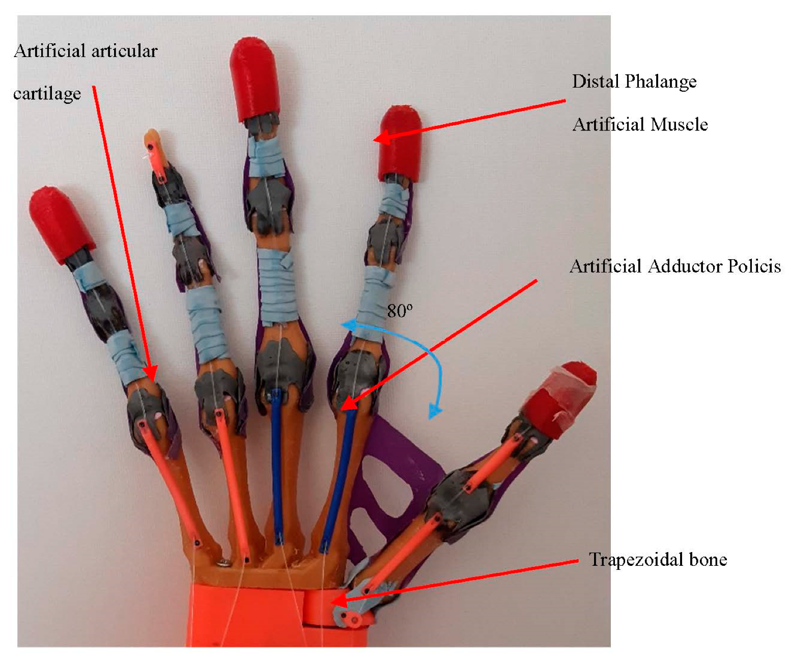 Sensors 21 00137 g005