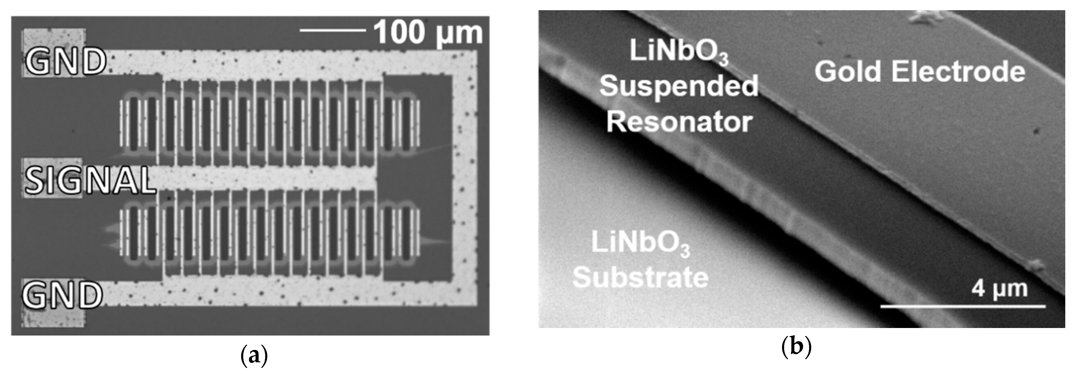Sensors 21 00149 g001 Sensors 21 00149 g001