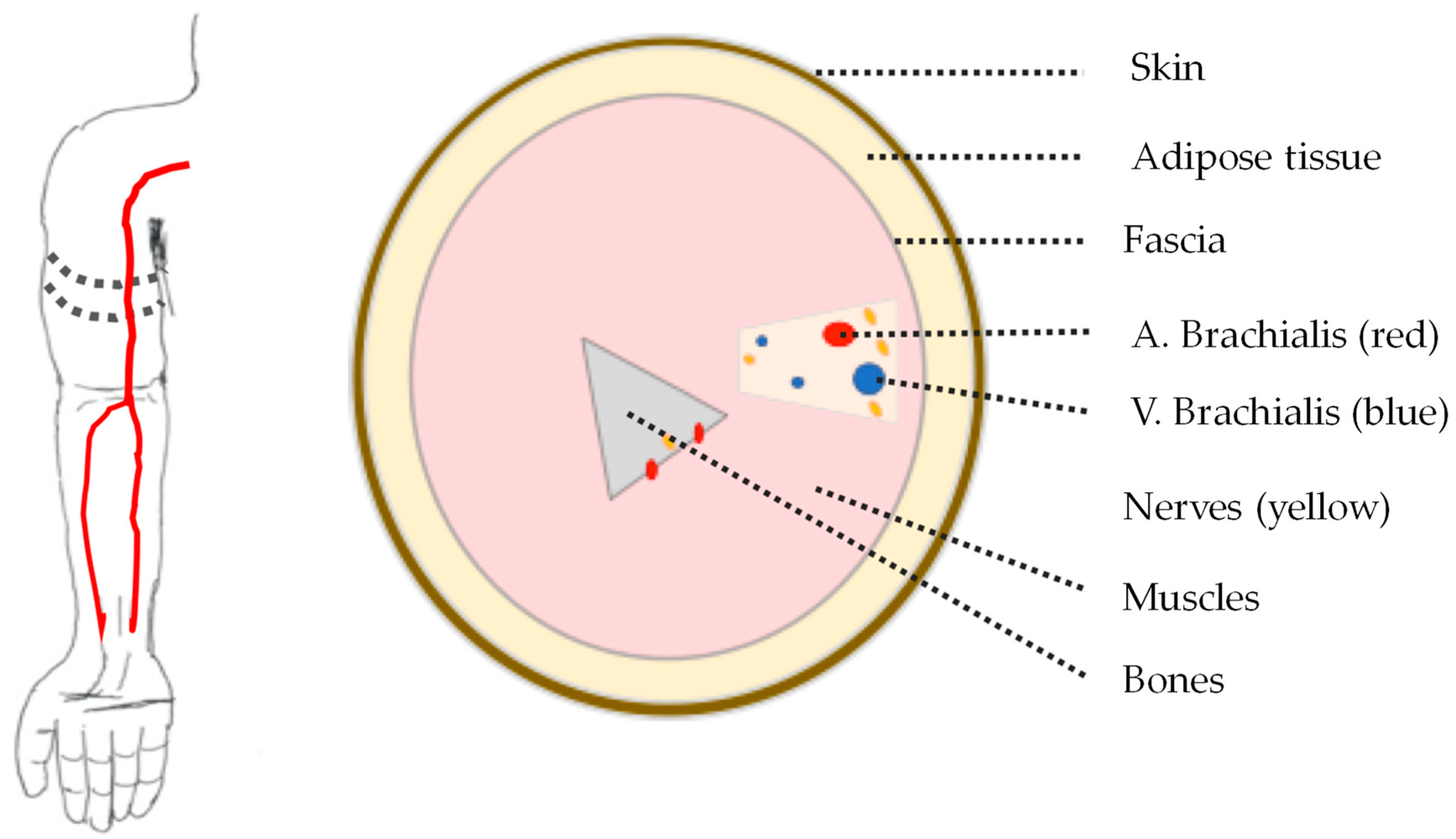 Sensors 21 00165 g001