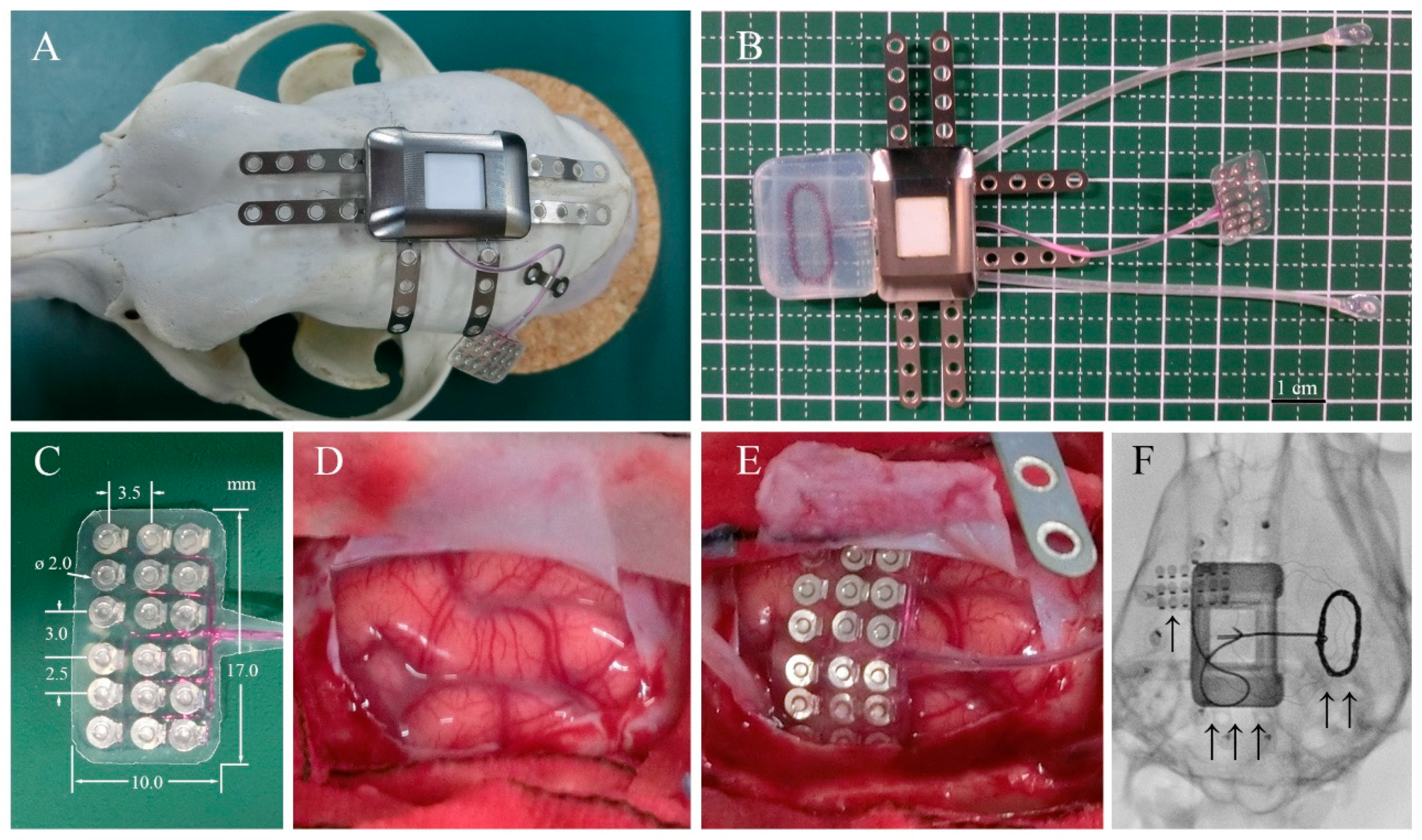 Sensors 21 00178 g001 Sensors 21 00178 g001