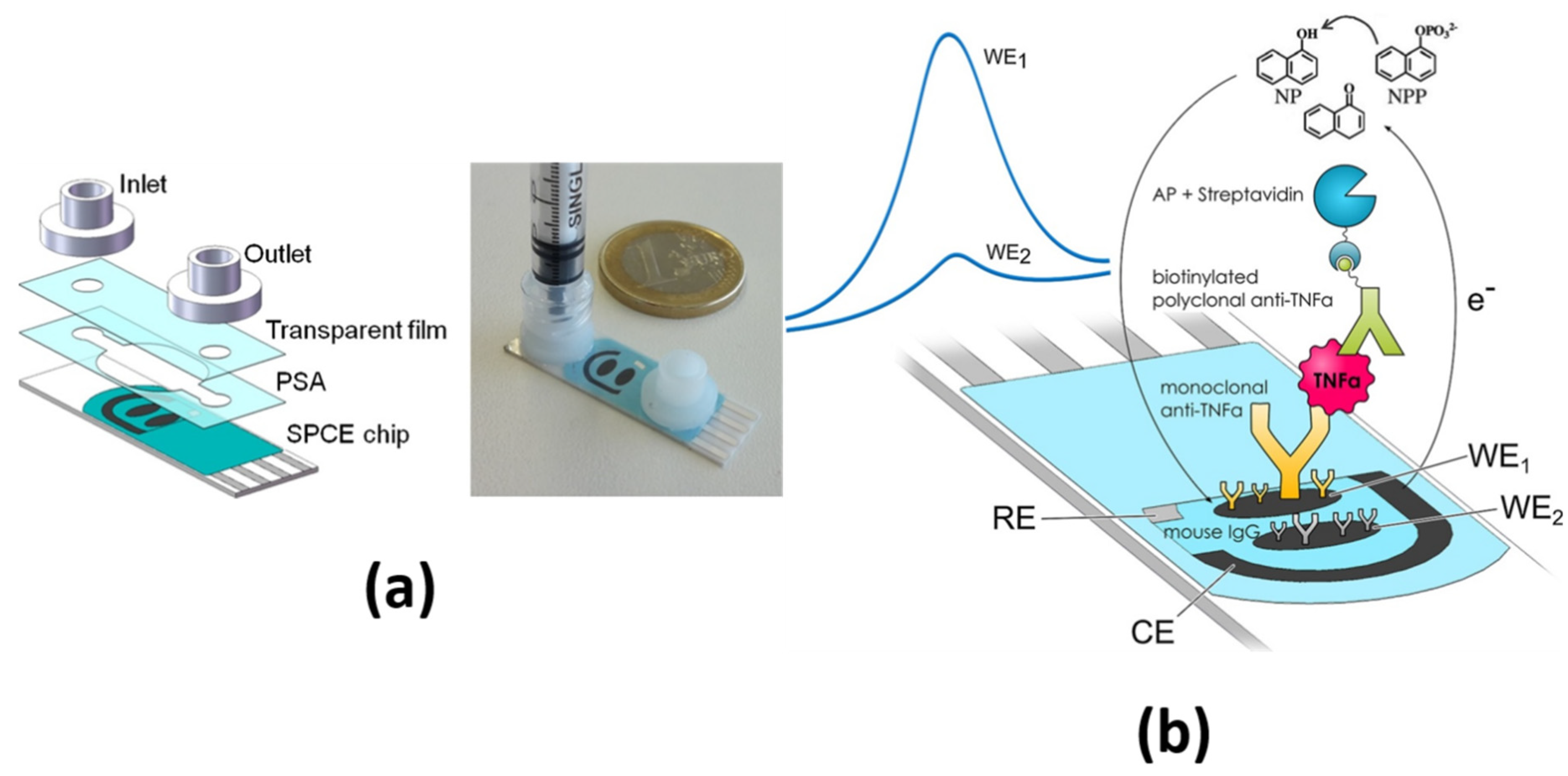 Sensors 21 00189 g003