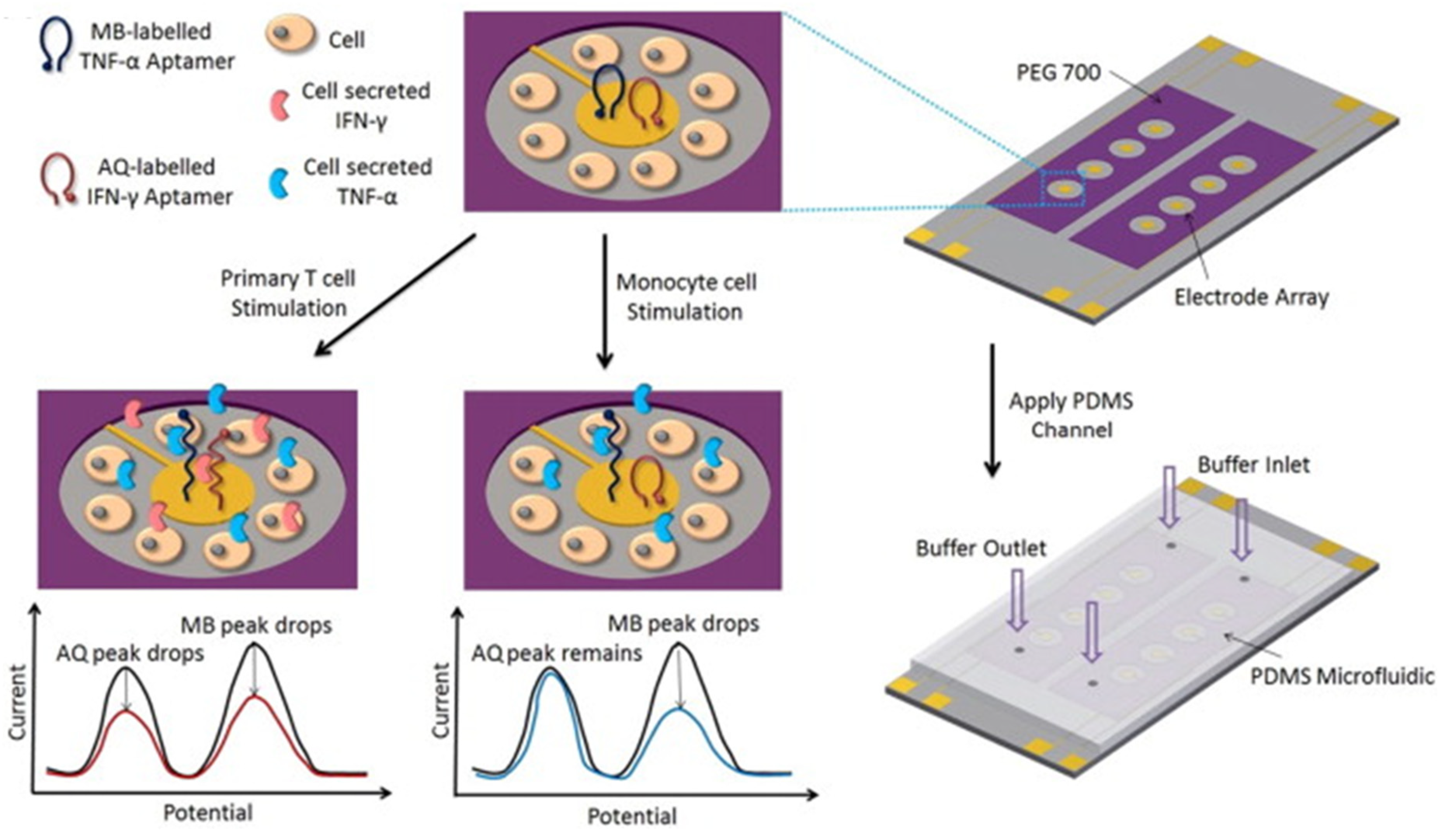 Sensors 21 00189 g010