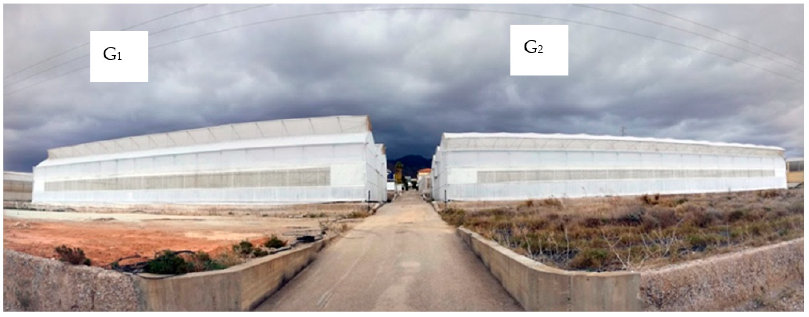 Sensors 21 00190 g002