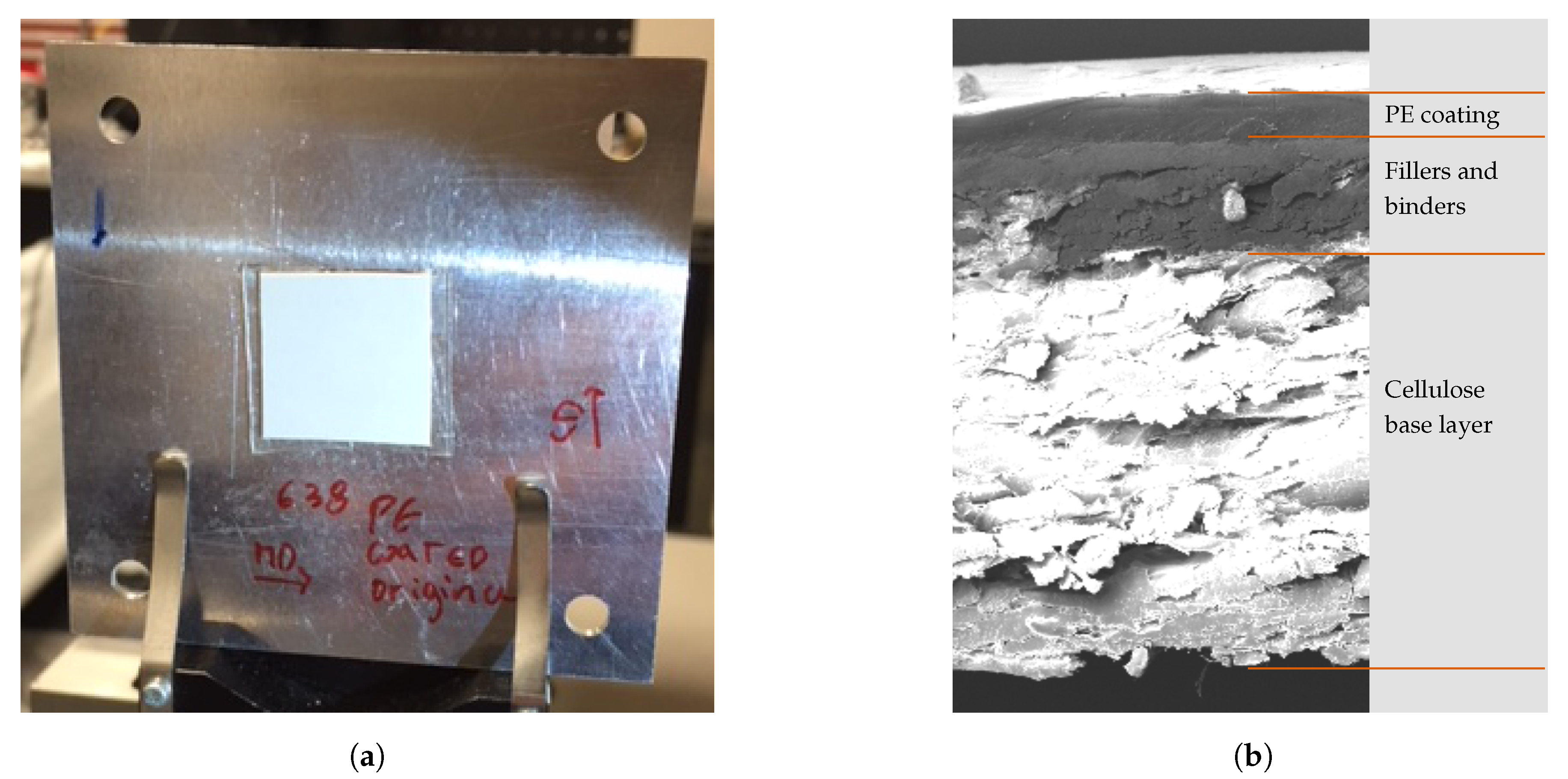 Sensors 21 00208 g001 Sensors 21 00208 g001