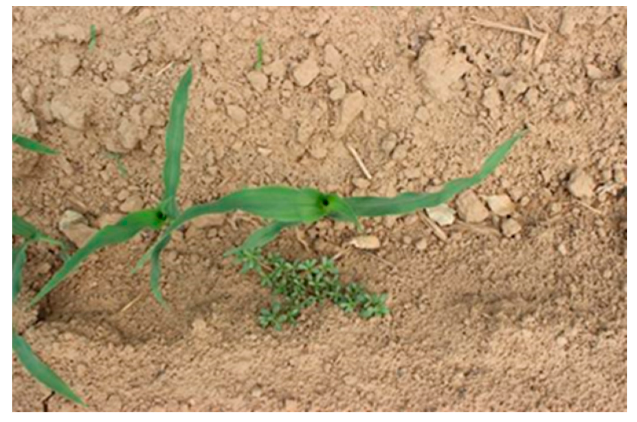 Sensors 21 00212 g002