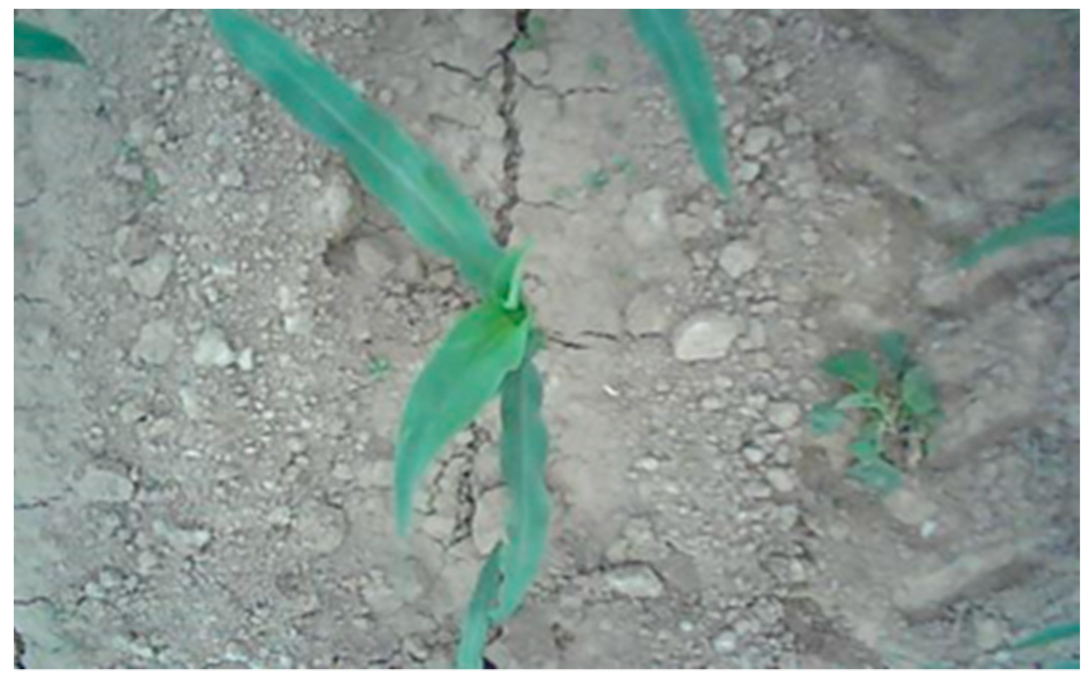 Sensors 21 00212 g003