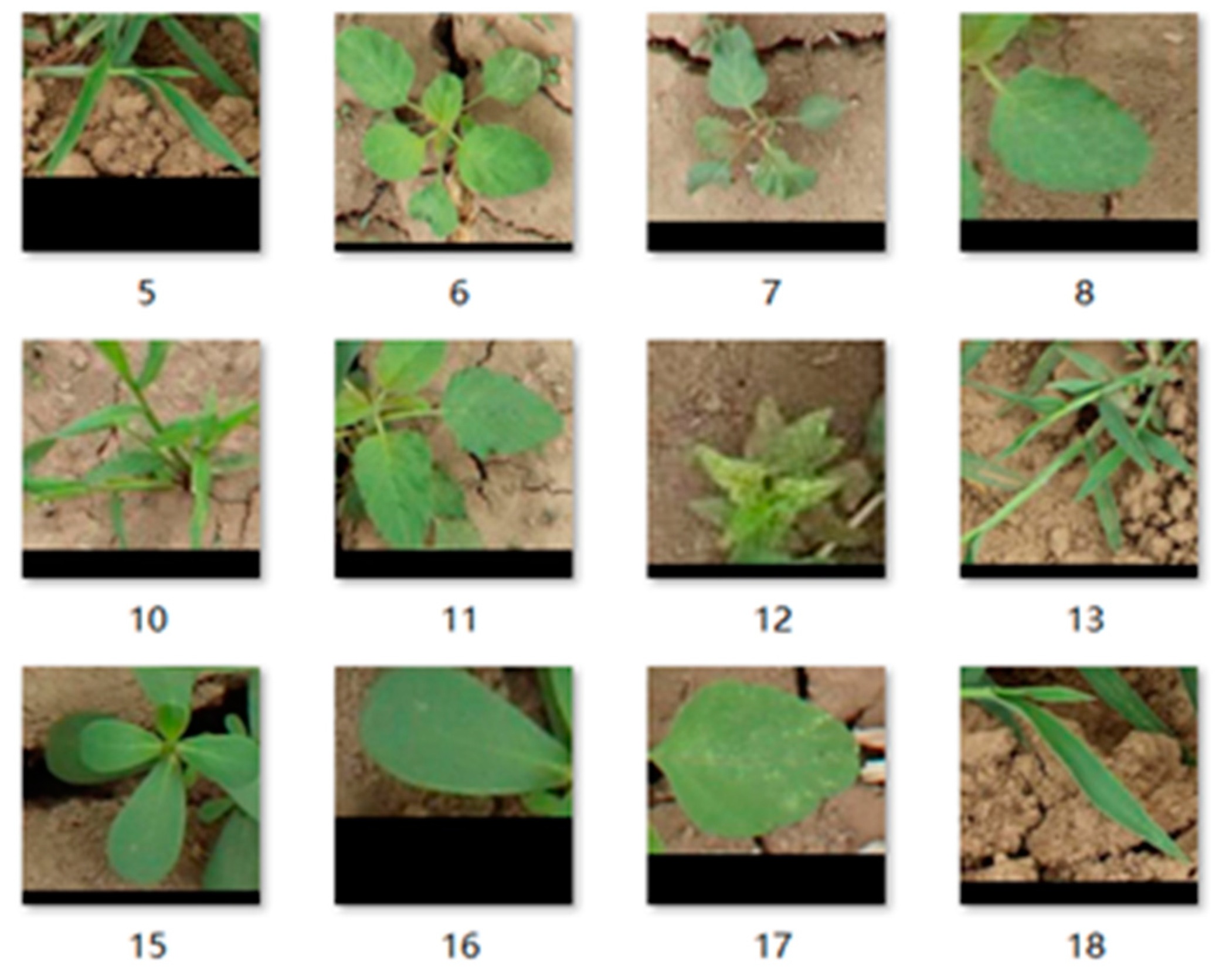 Sensors 21 00212 g005