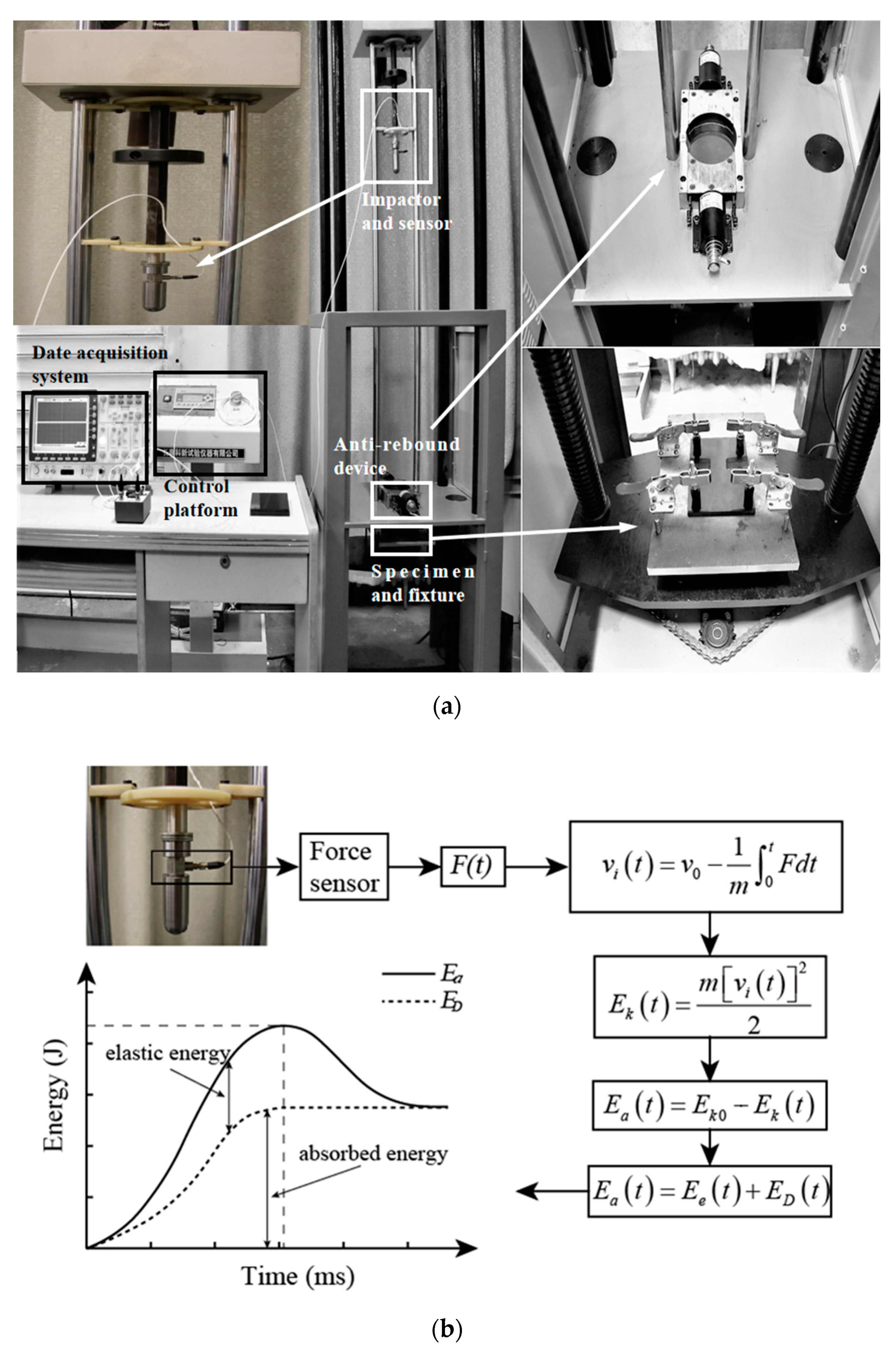 Sensors 21 00219 g003