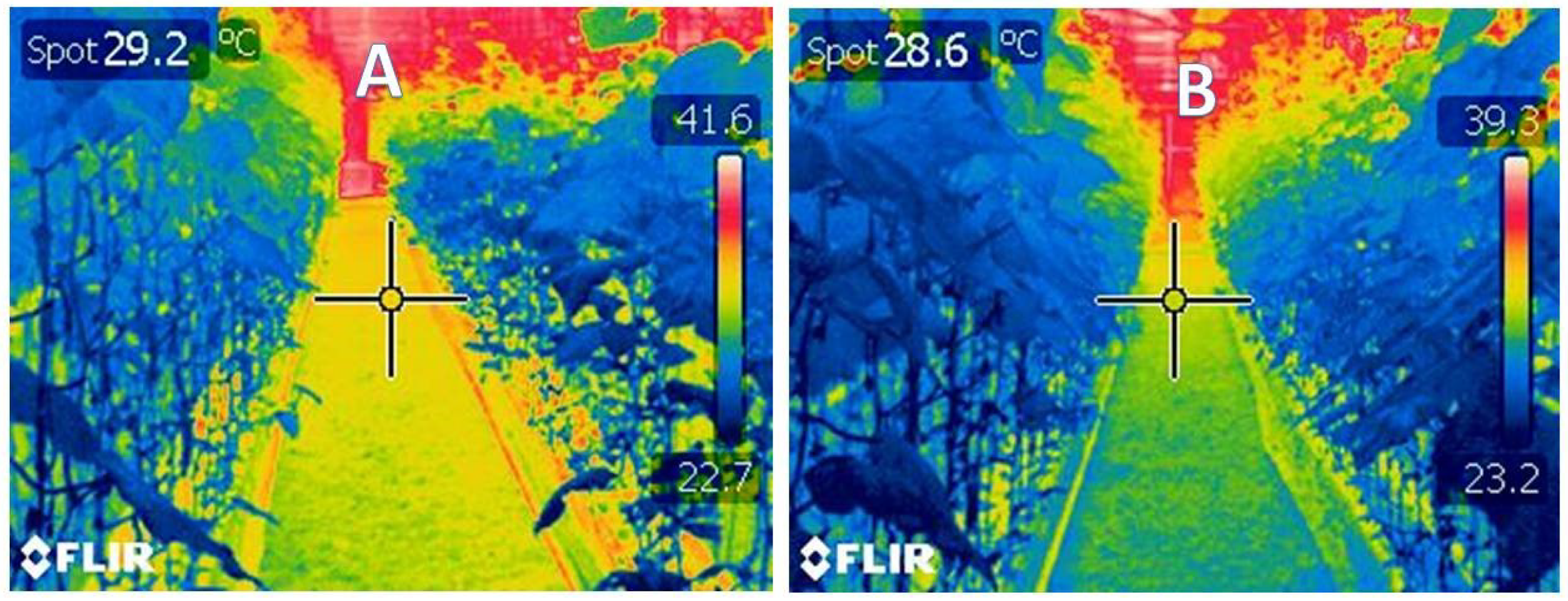 Sensors 21 00223 g016