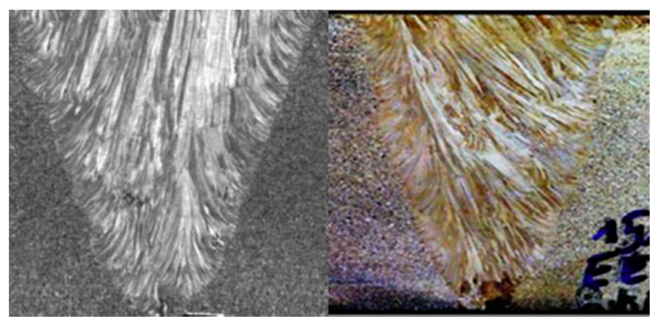 Sensors 21 00242 g002