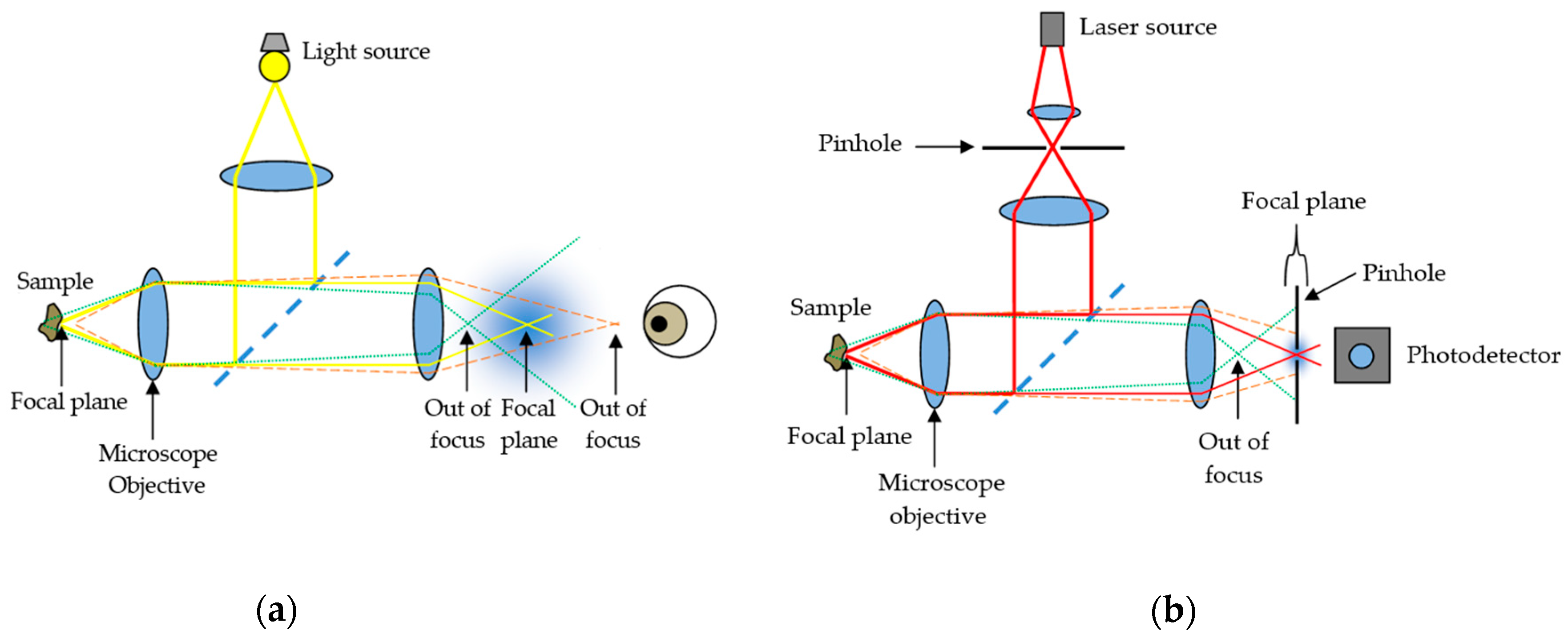 Sensors 21 00252 g001