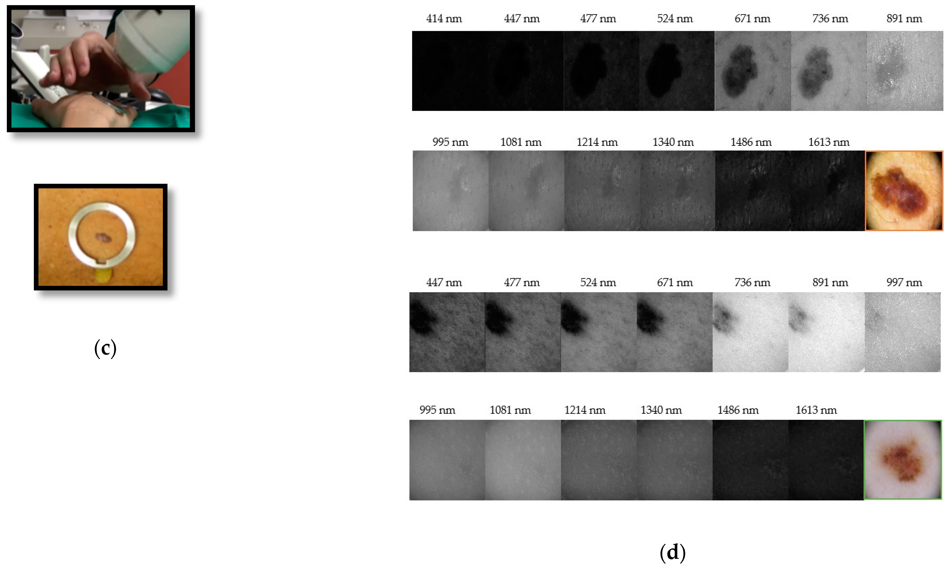 Sensors 21 00252 g002b