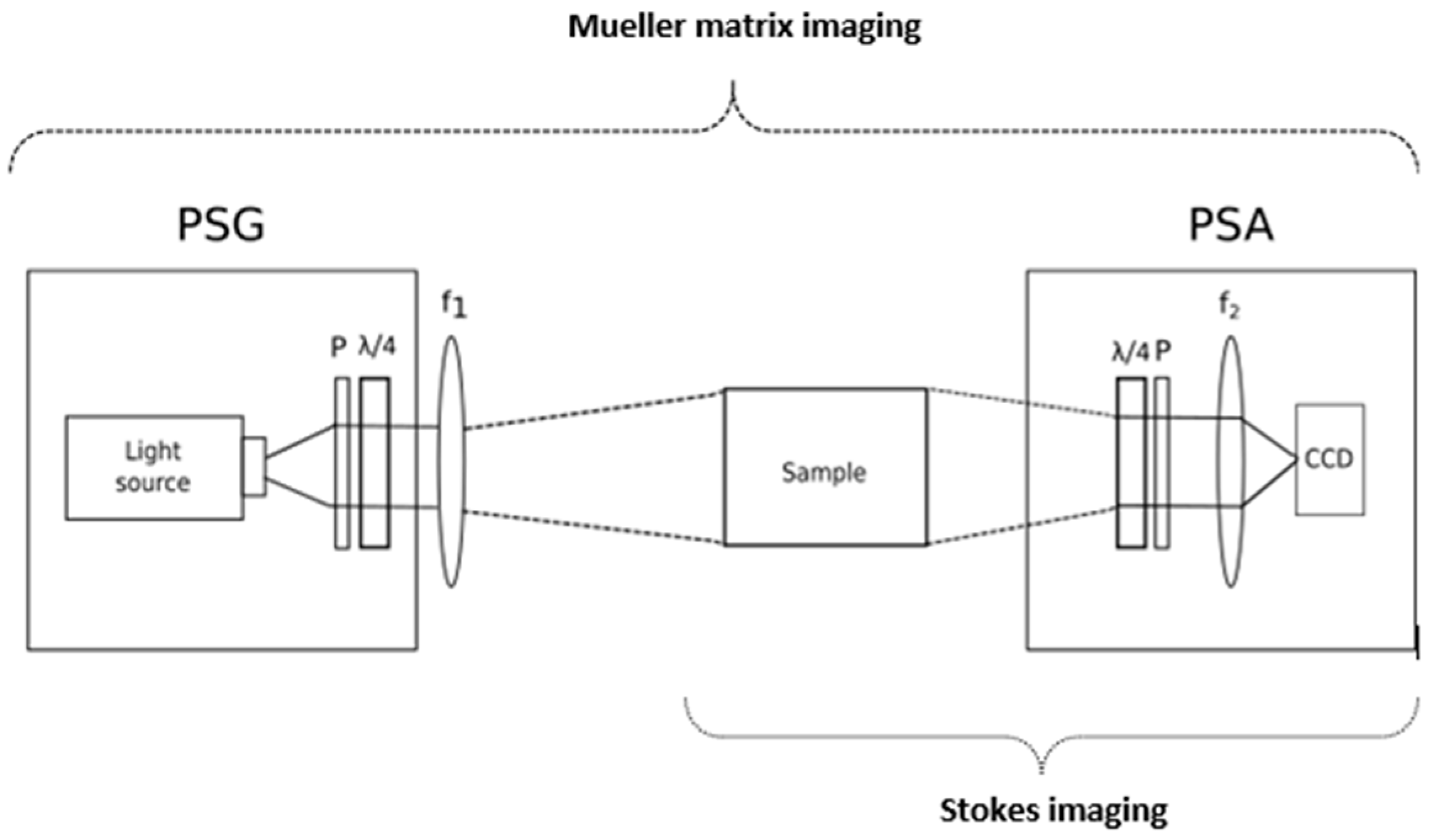 Sensors 21 00252 g007