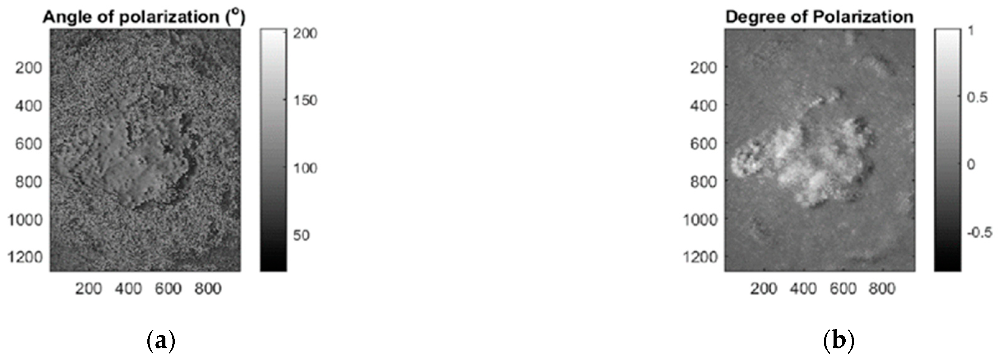 Sensors 21 00252 g008