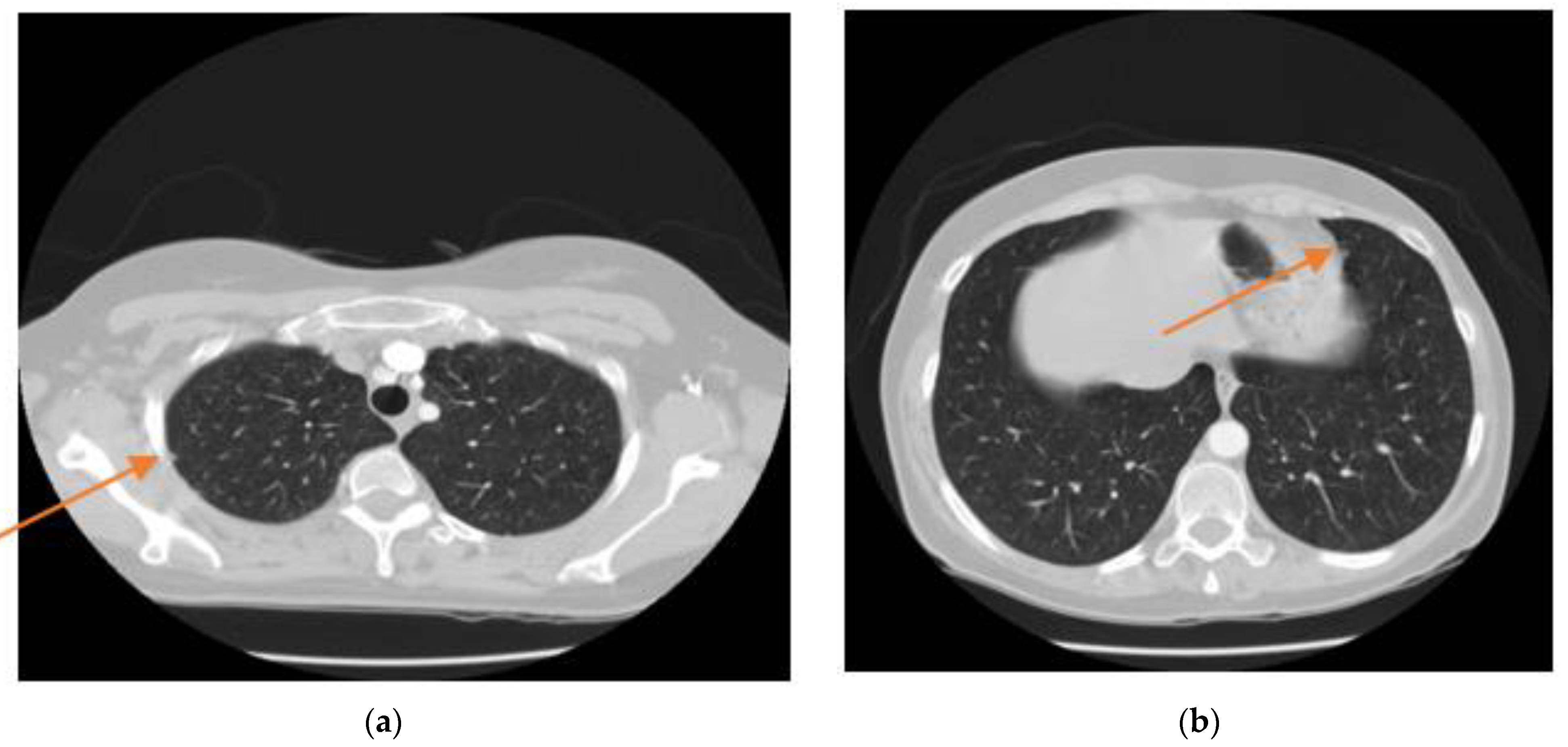 Sensors 21 00268 g001 Sensors 21 00268 g001