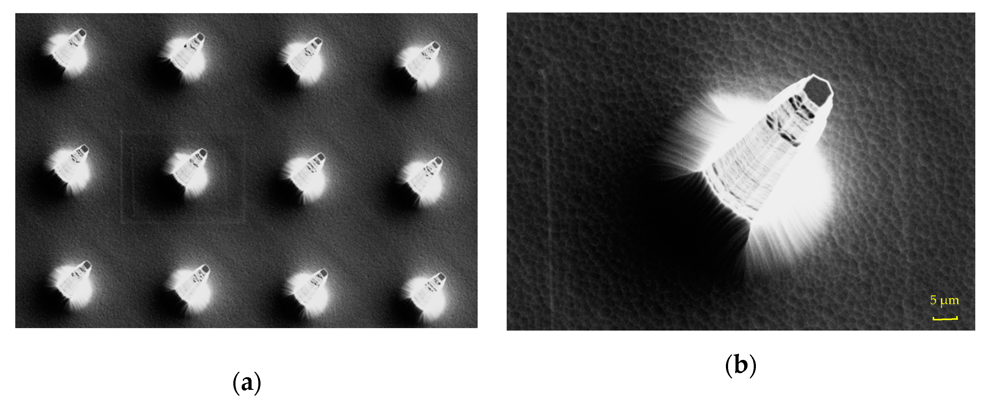 Sensors 21 00289 g004