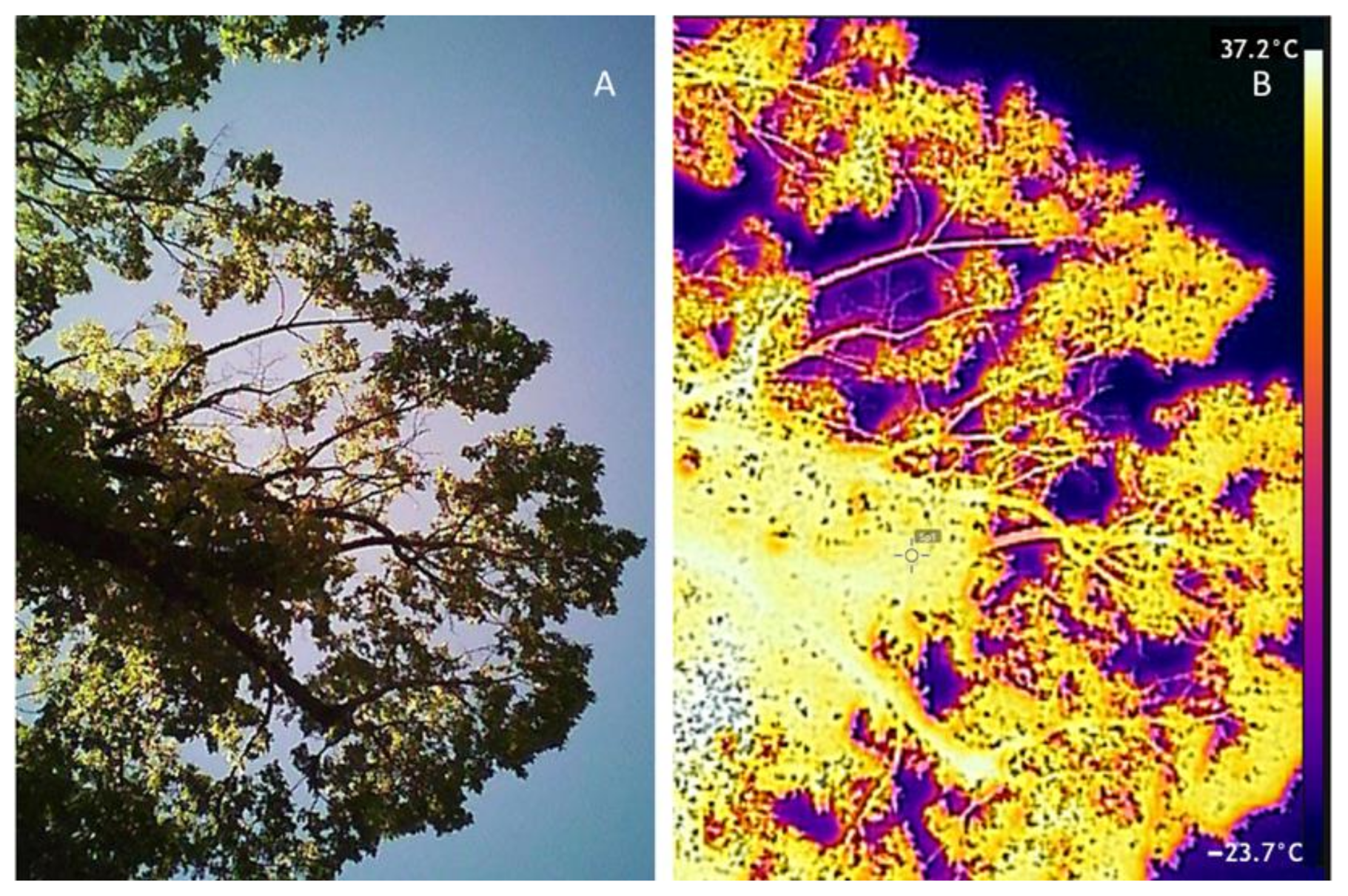 Sensors 21 00295 g003