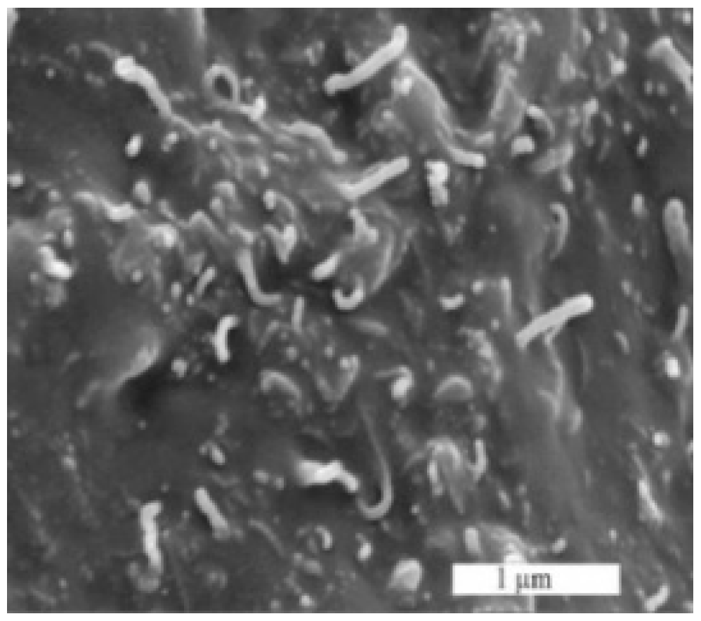 Sensors 21 00298 g001