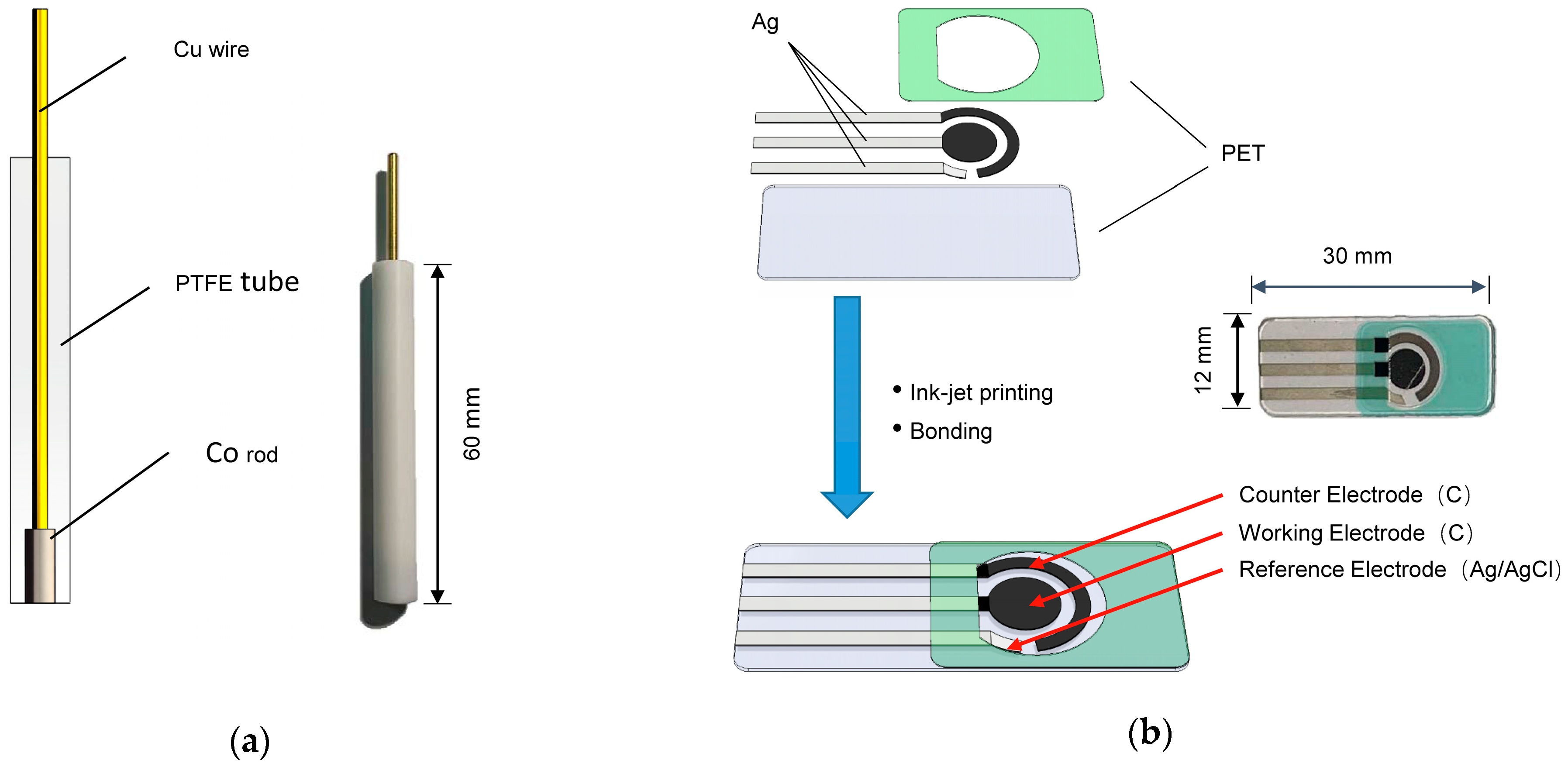 Sensors 21 00299 g001