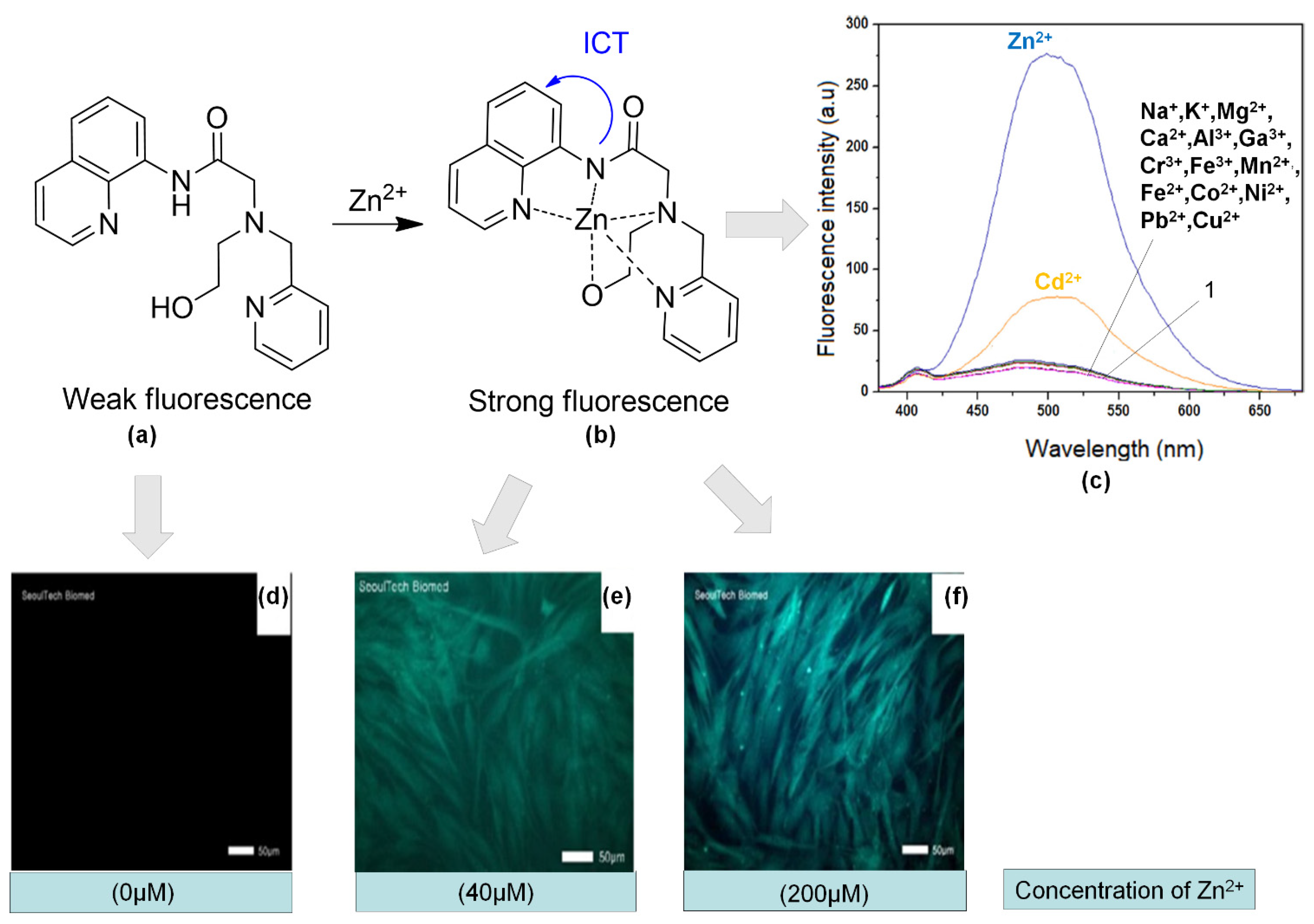 Sensors 21 00311 g012