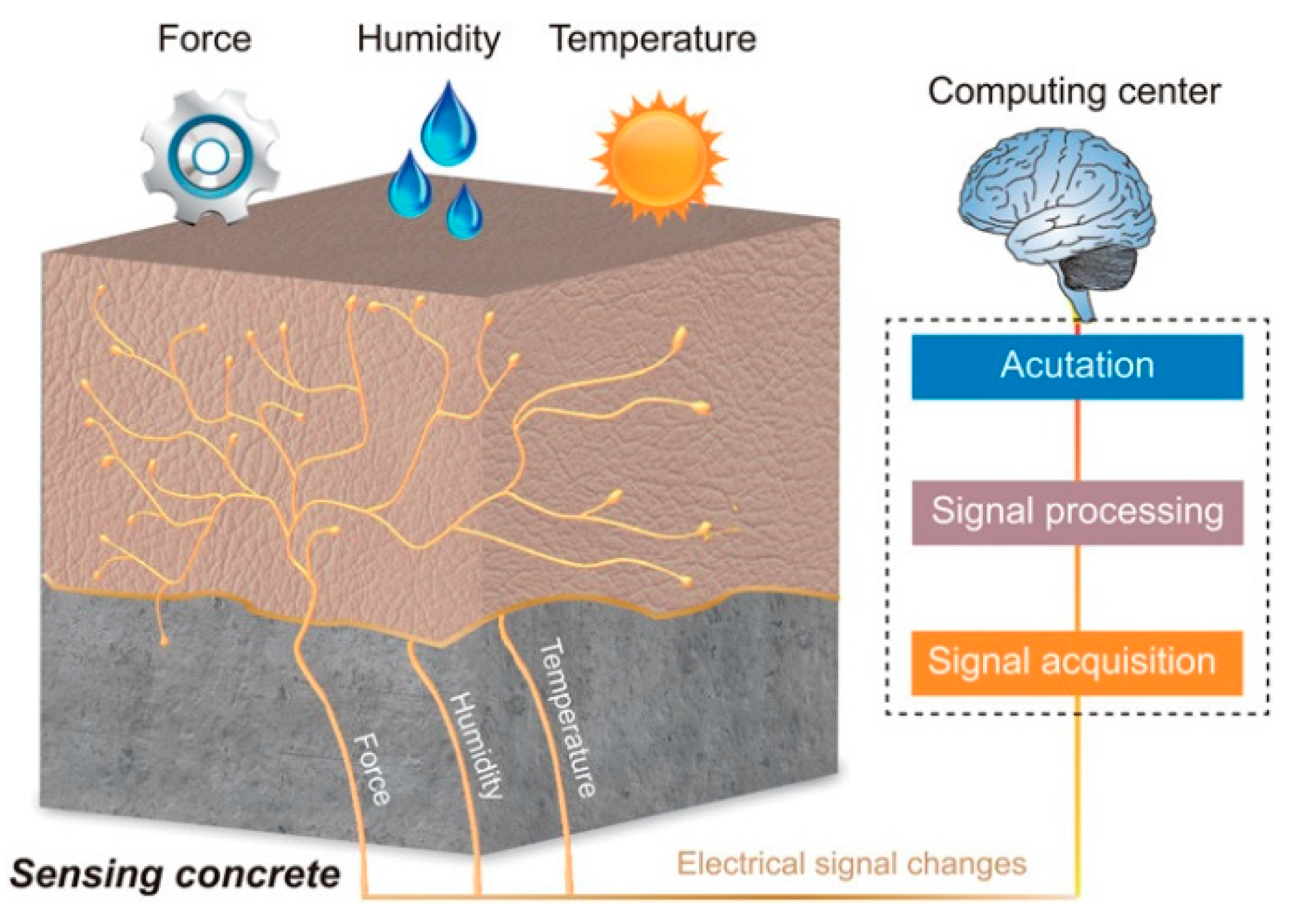Sensors 21 00314 g012