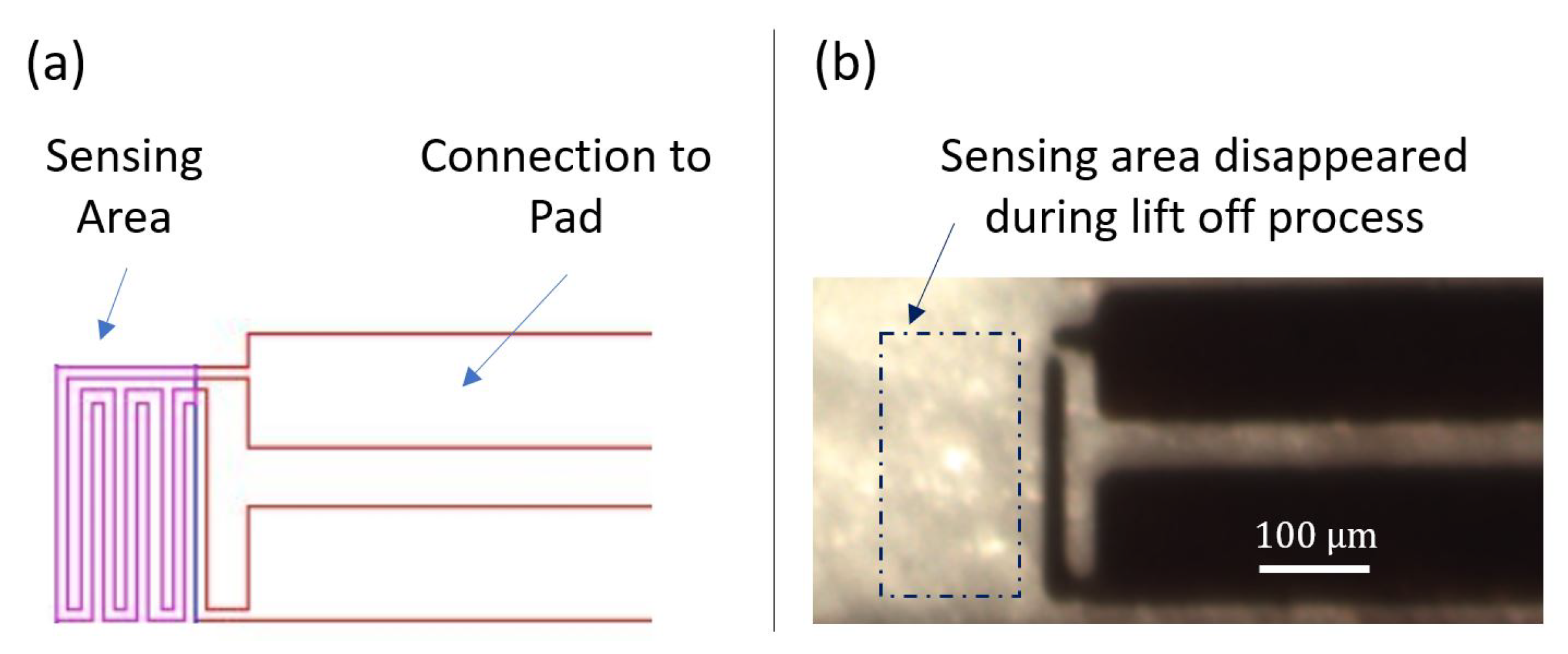 Sensors 21 00318 g011