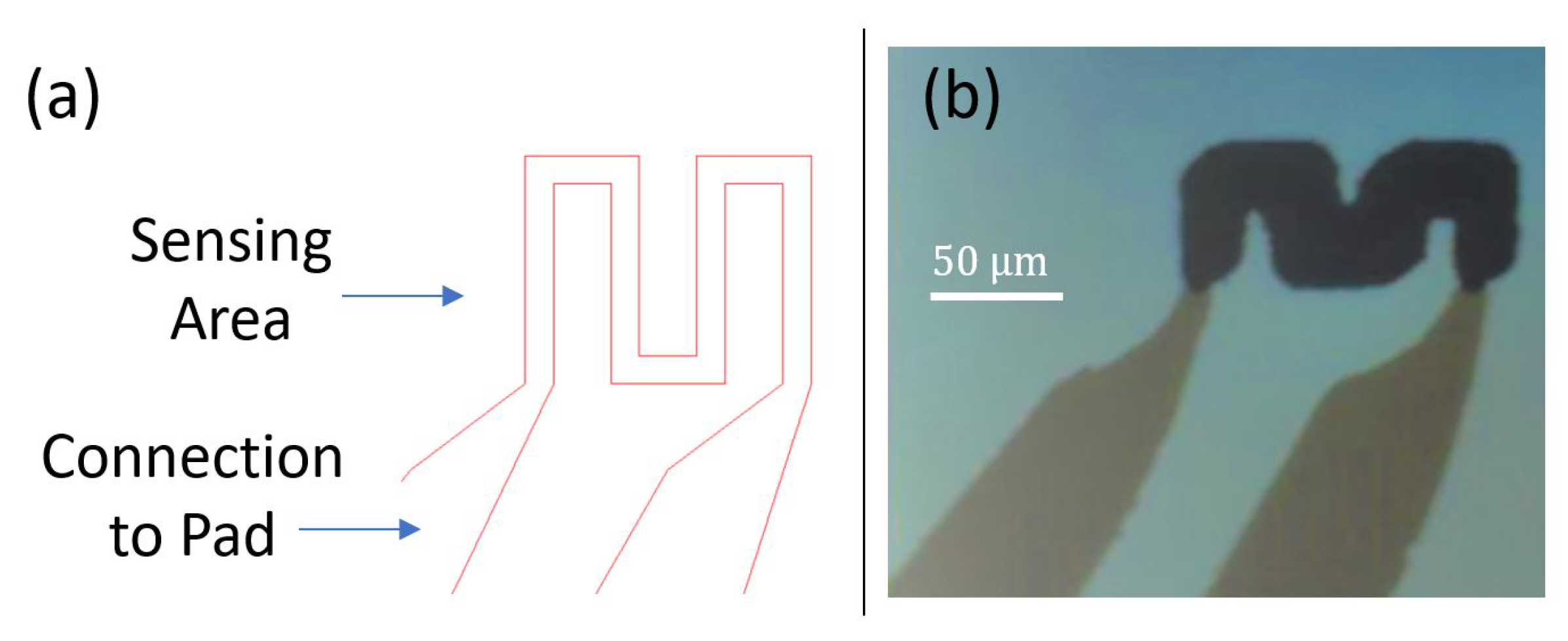 Sensors 21 00318 g012